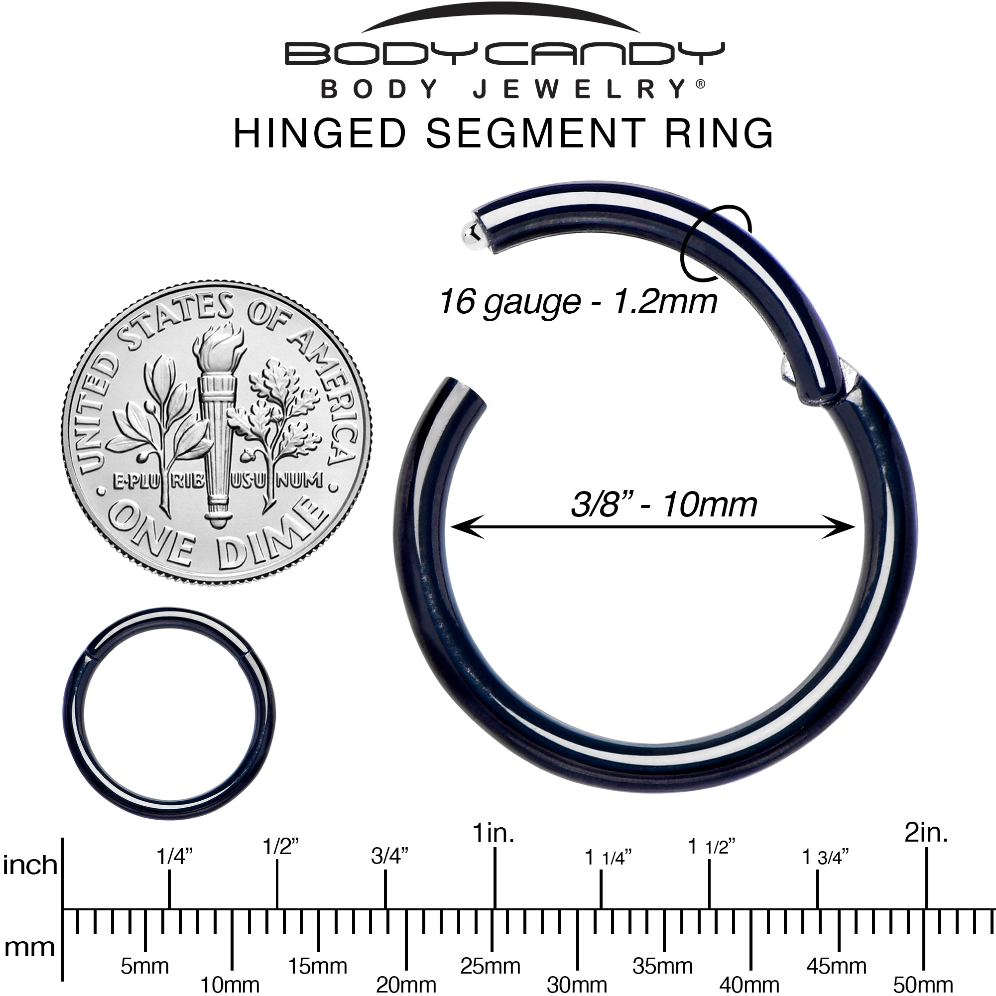 16G 3/8 Black PVD Hinged Segment Ring