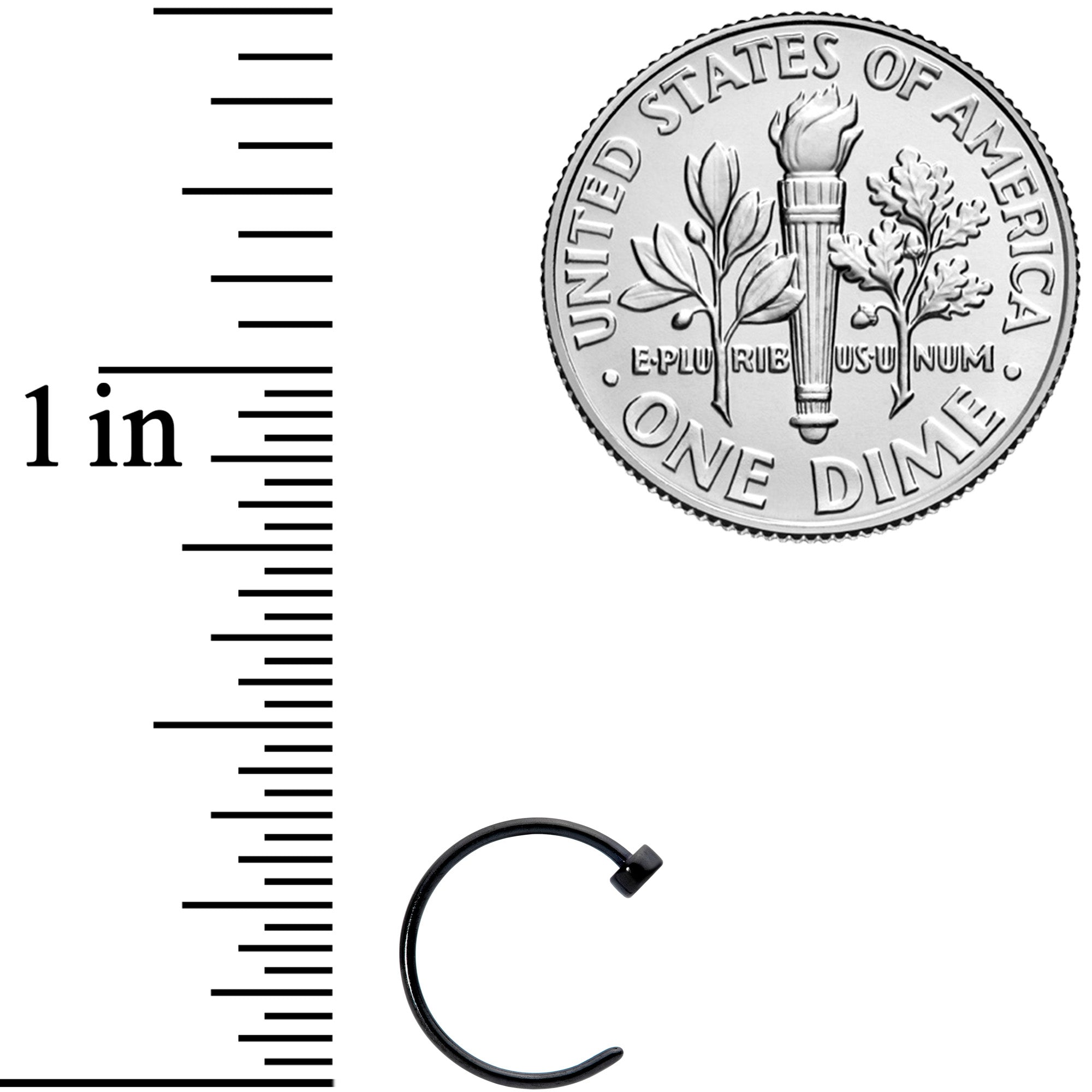 22G 5/16 Black PVD Stainless Steel Disc Nose Hoop