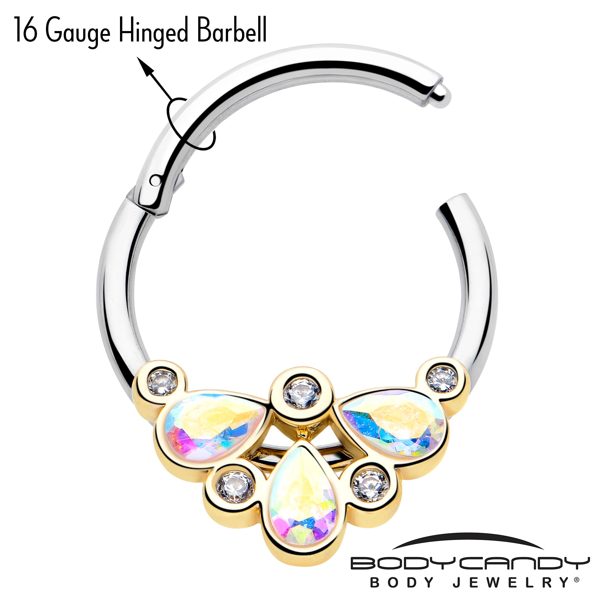 16G 3/8 Aurora Gem Golden Crown Deluxe Hinged Segment Ring