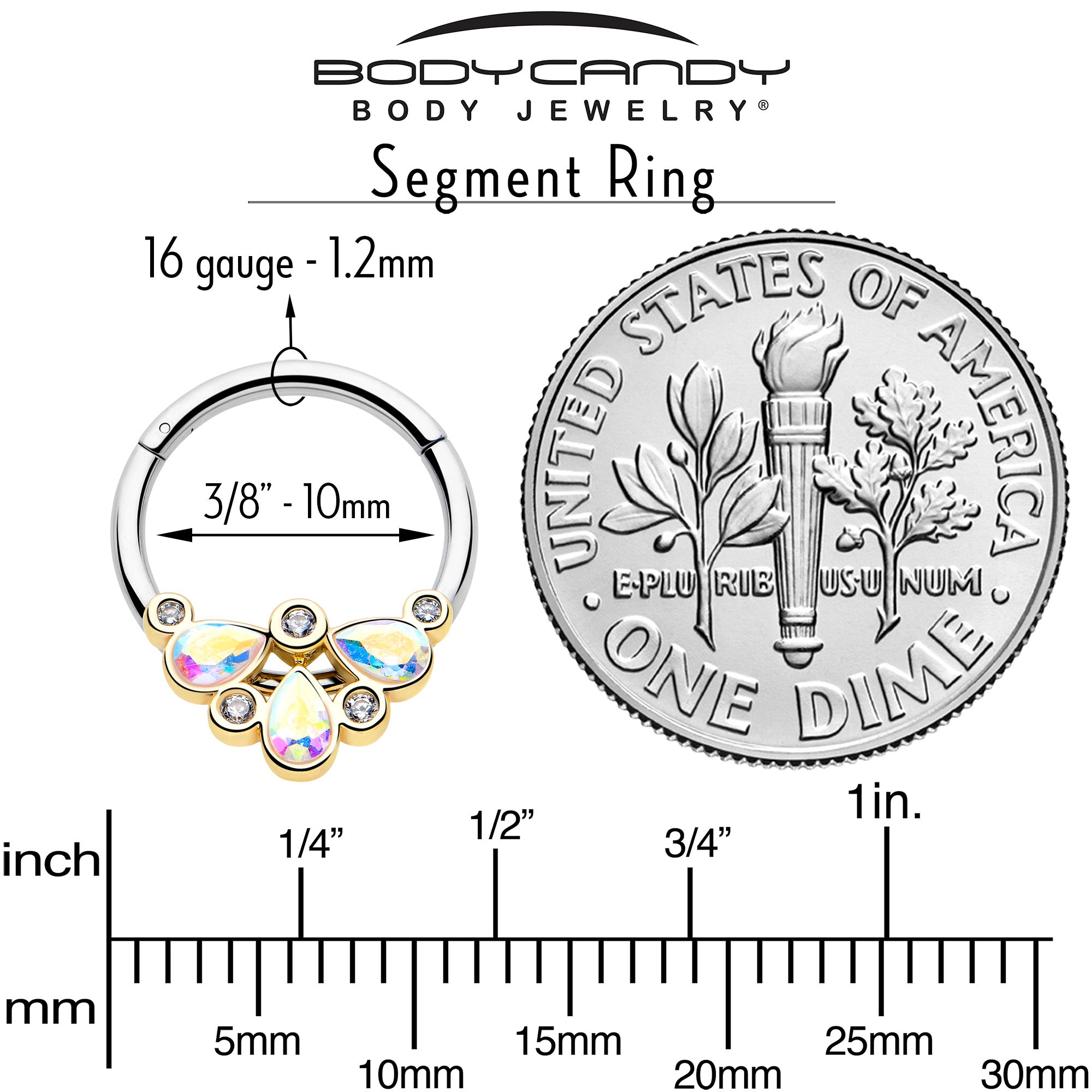 16G 3/8 Aurora Gem Golden Crown Deluxe Hinged Segment Ring