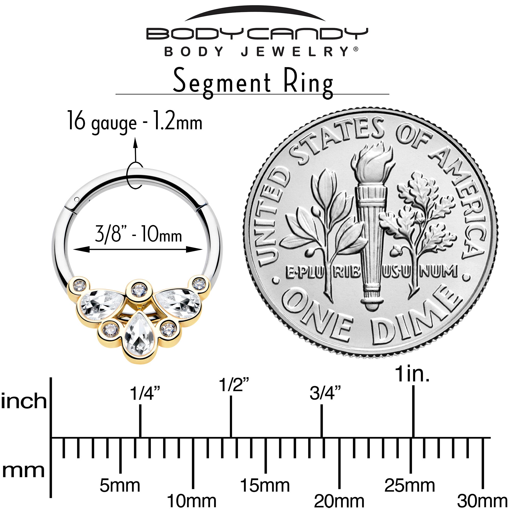 16G 3/8 Clear Gem Golden Crown Deluxe Hinged Segment Ring