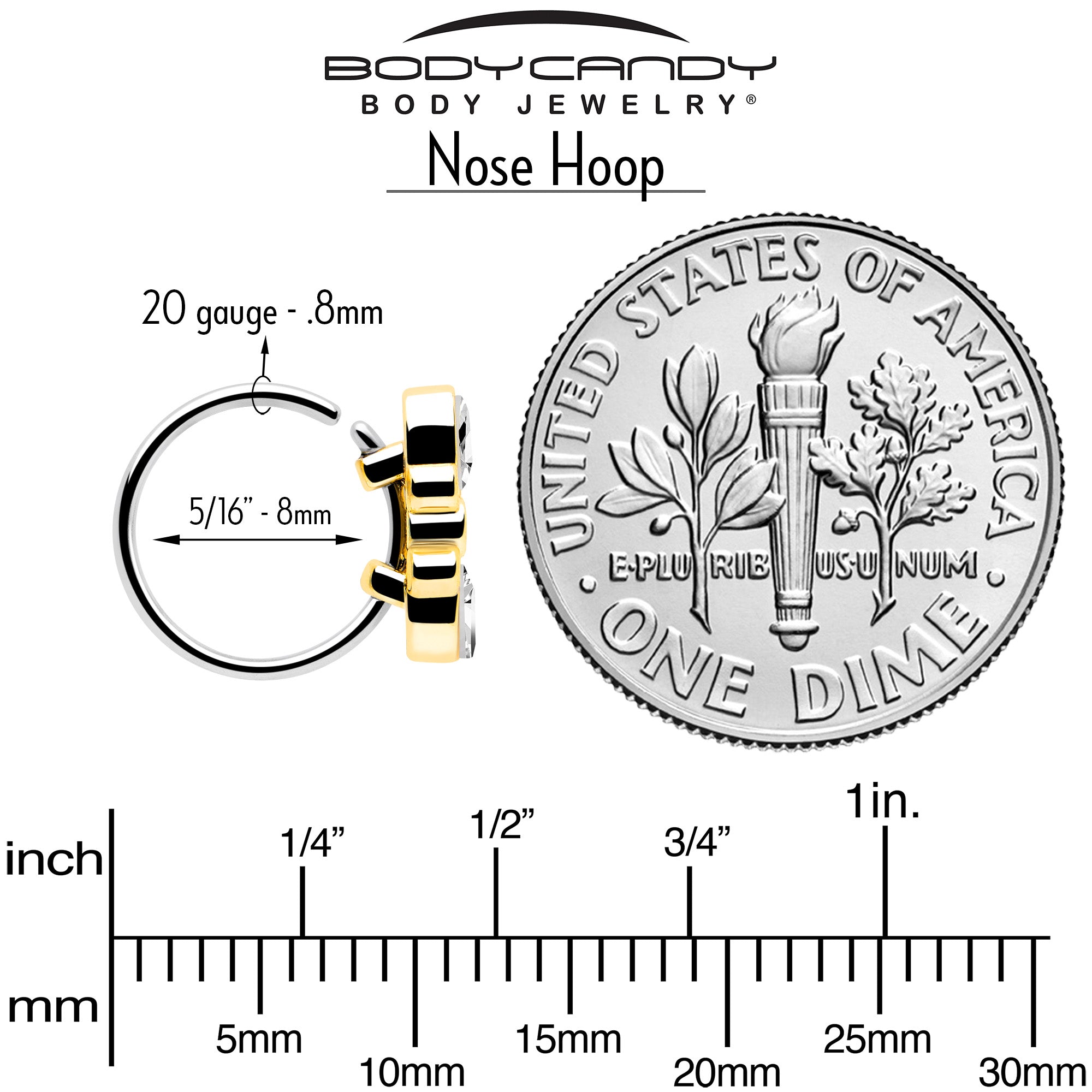 20G 5/16 Clear Gem Golden Crown Deluxe Nose Hoop