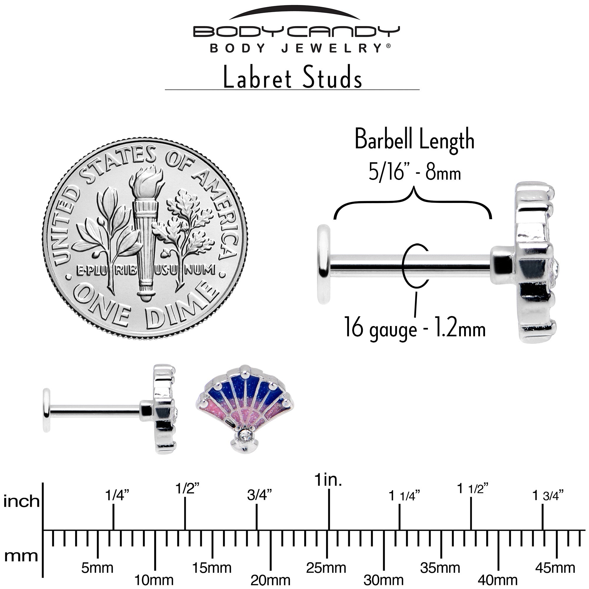 16G 5/16 Clear CZ Gem Mesmerizing Ocean Sea Shell Magic Labret Tragus