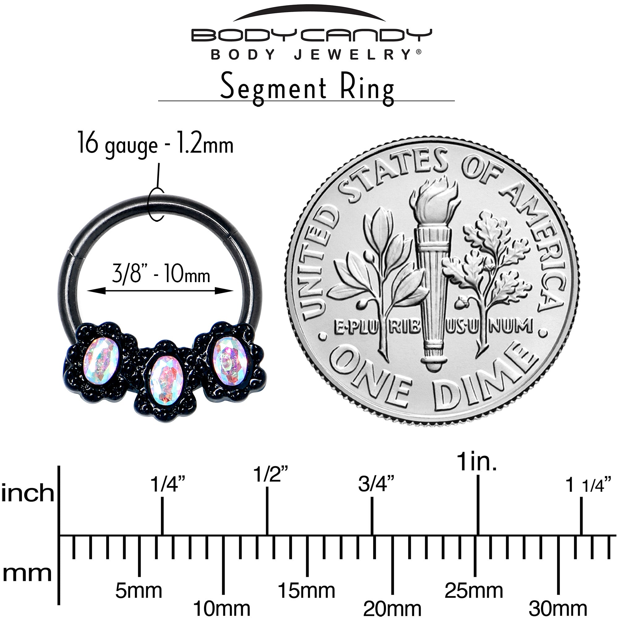 16G 3/8 Aurora Gem Black Magical Ovals Hinged Segment Ring