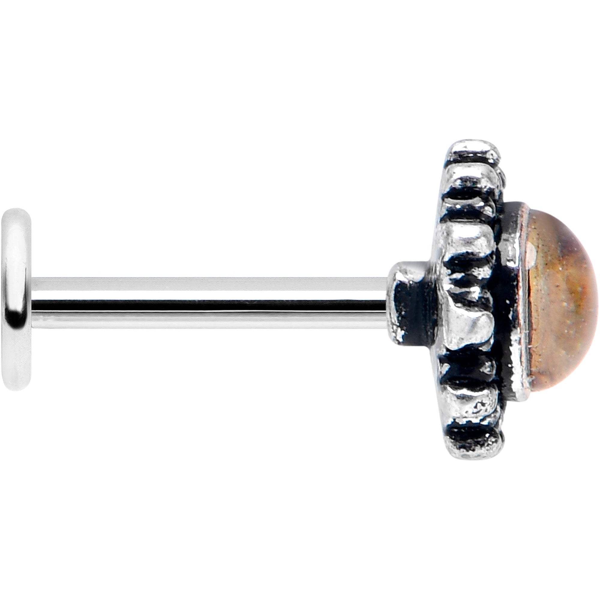 16G 5/16 Brown Faux Shell Circle of Glam Labret Monroe Tragus