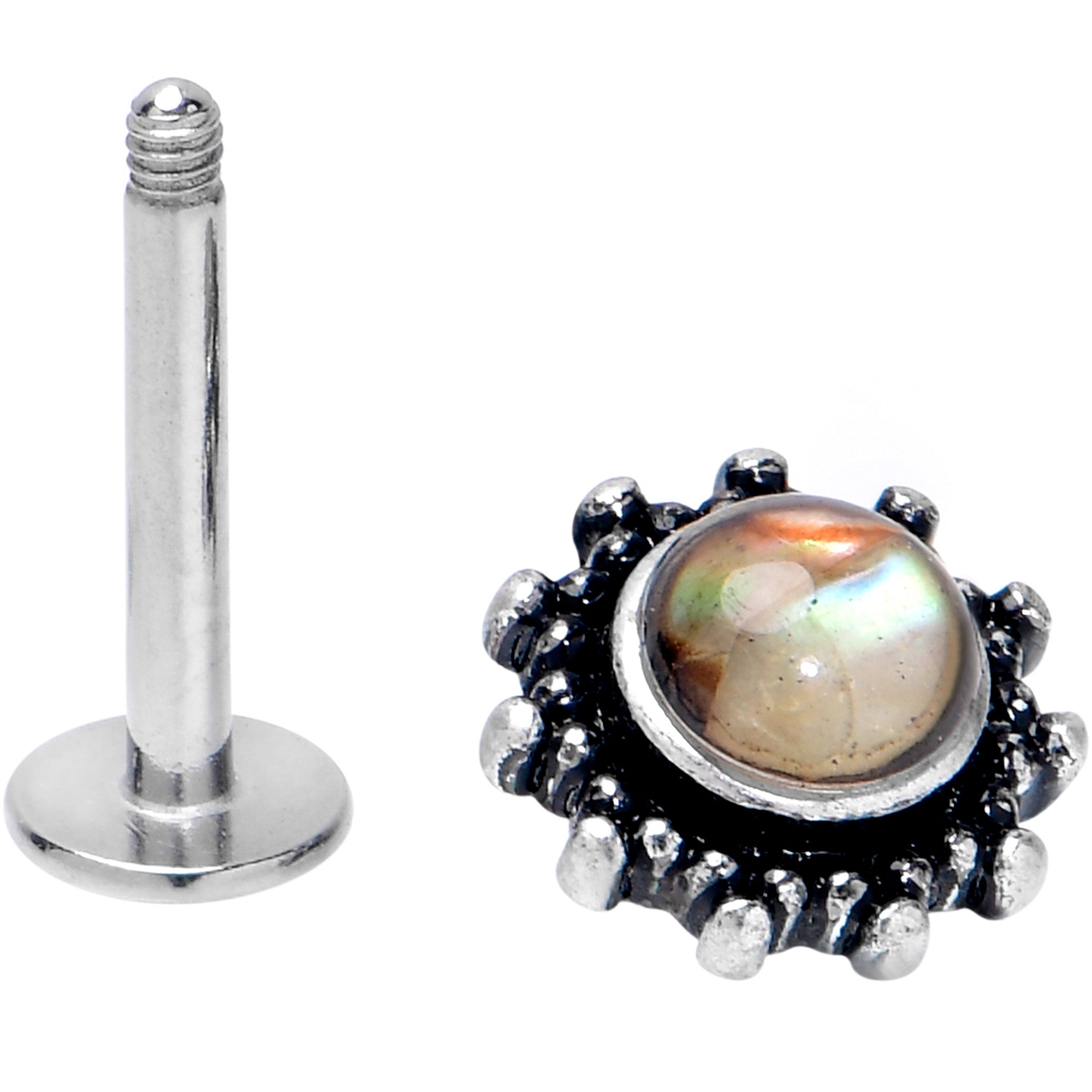 16G 5/16 Brown Faux Shell Circle of Glam Labret Monroe Tragus