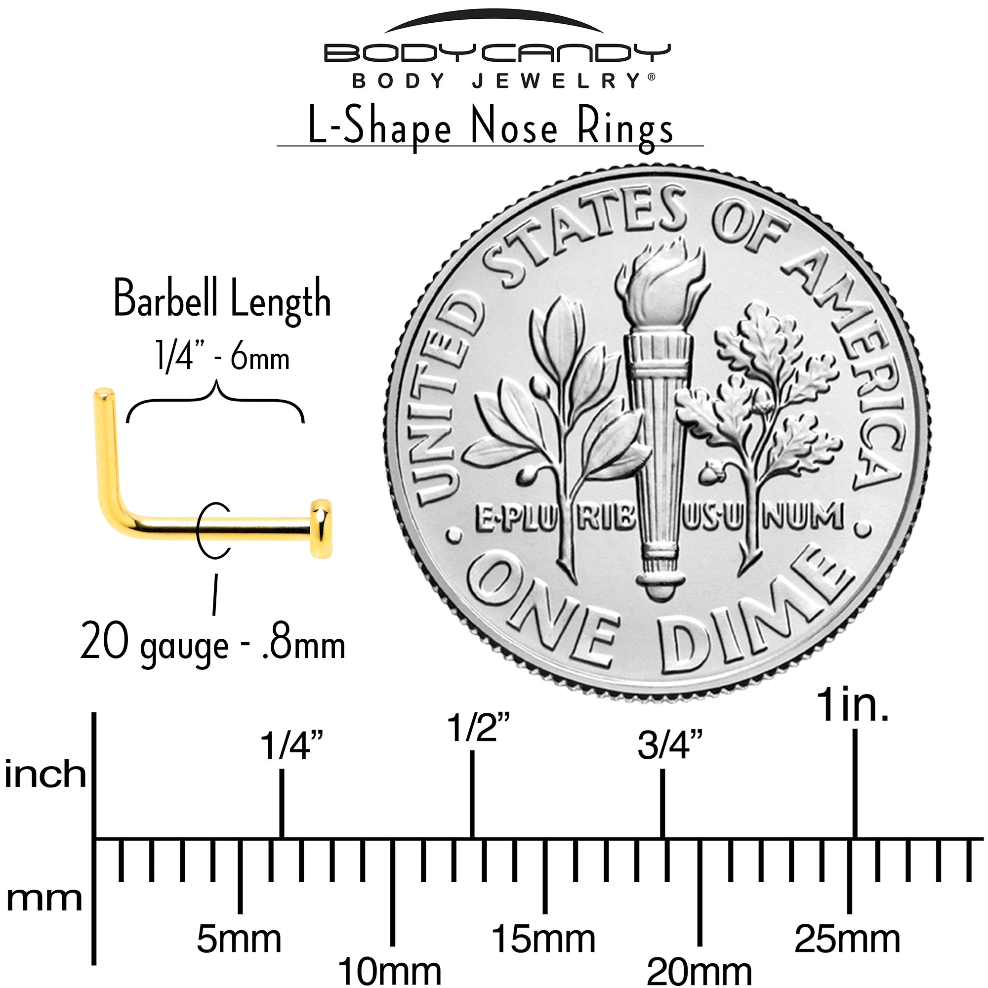 20G 1/4 Gold Tone ASTM F-136 Implant Grade Titanium 2mm Disc L Shape Nose Ring