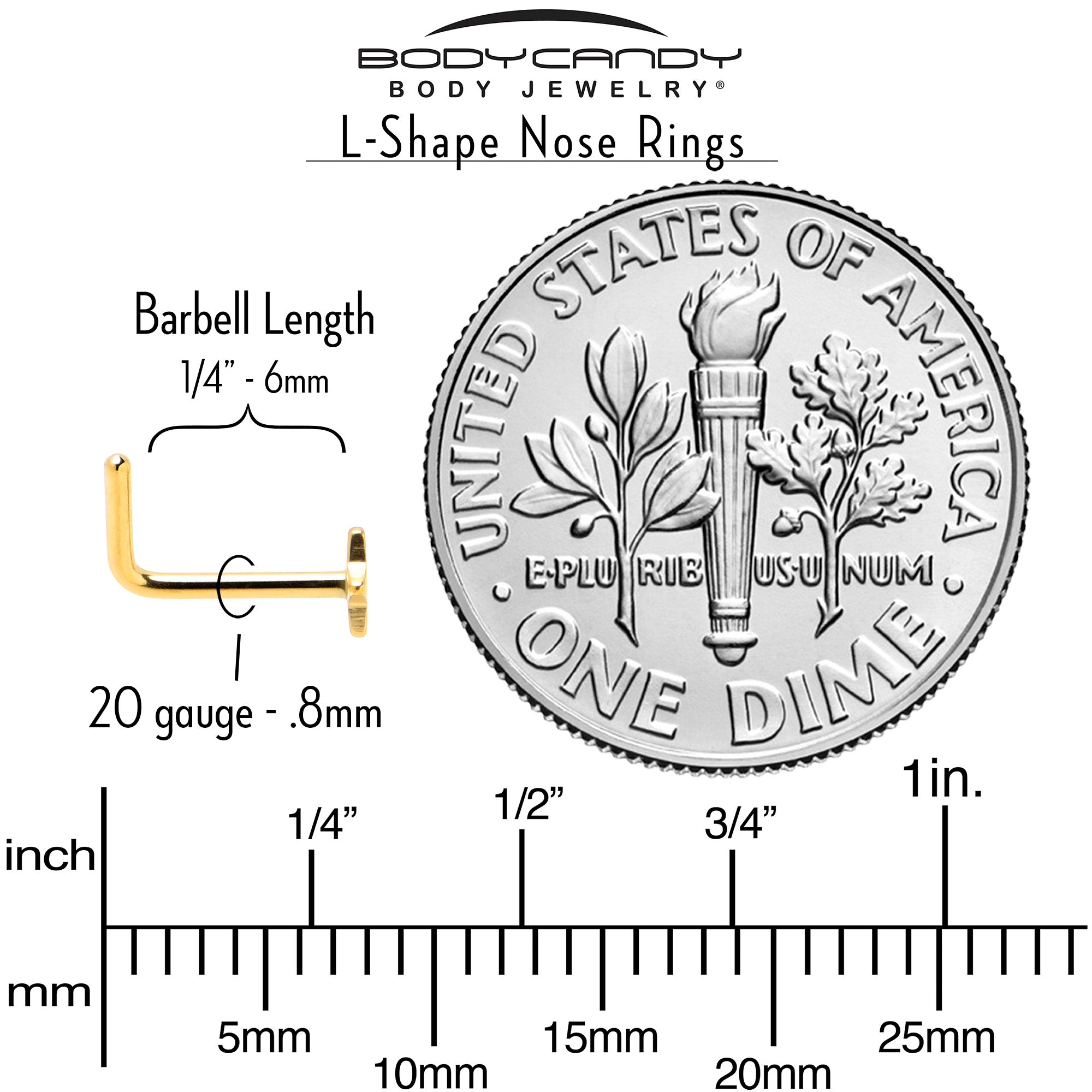 20G 1/4 Gold Tone ASTM F-136 Implant Grade Titanium Star End L Shape Nose Ring