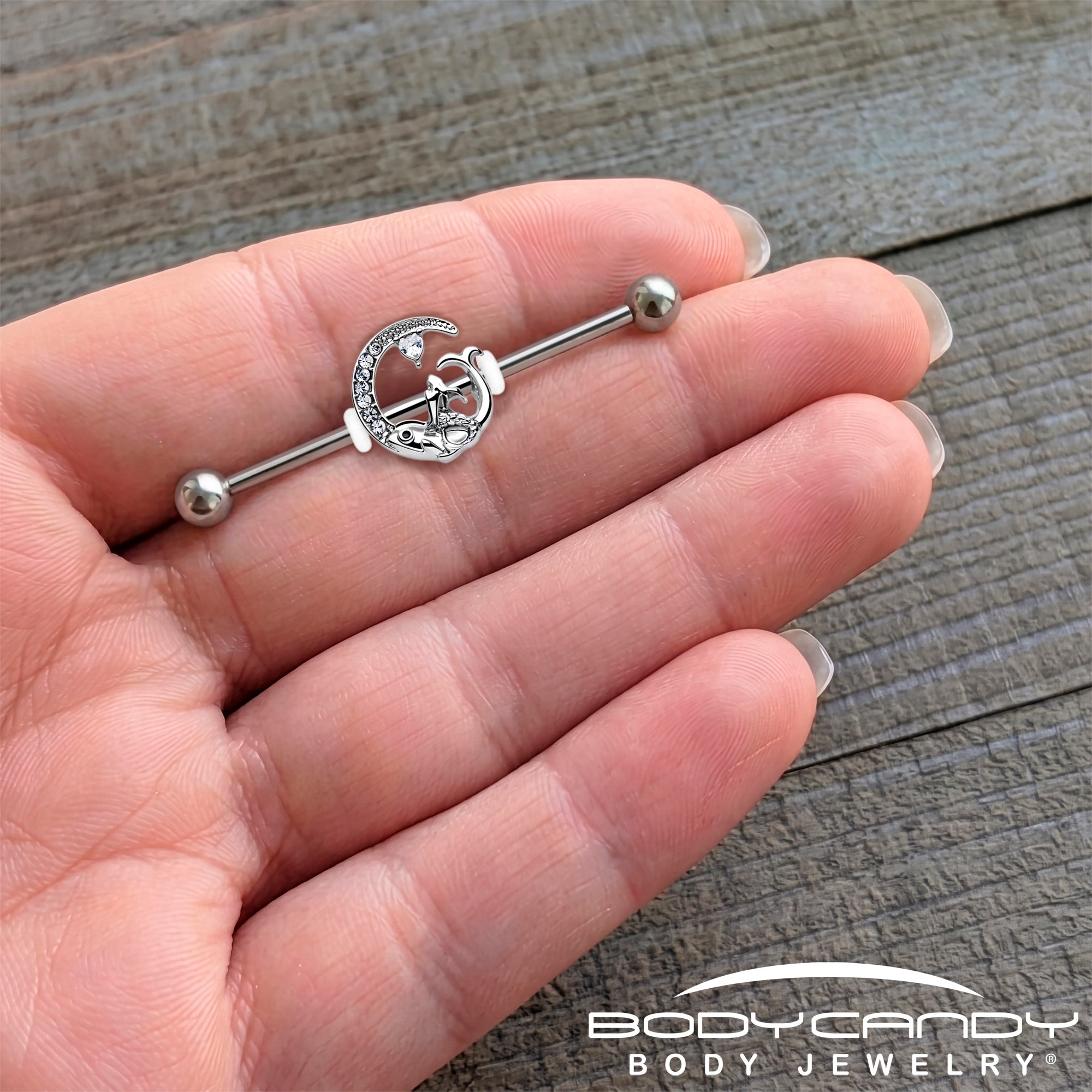 14G Clear Gem Fish of the Day Industrial Barbell 38mm