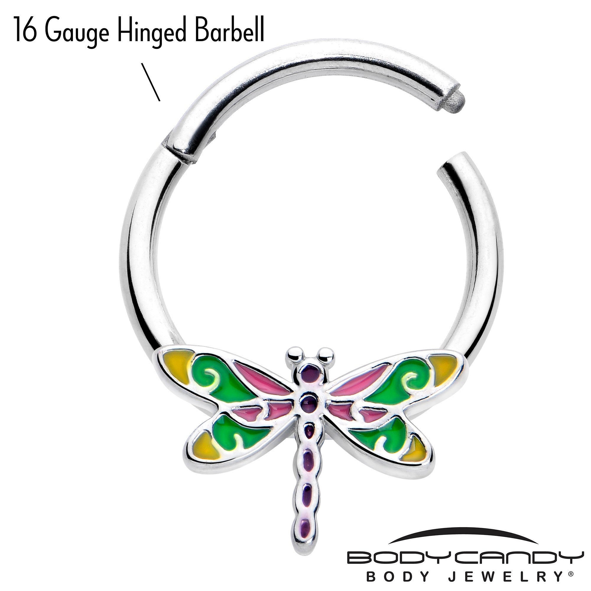 Colorful dragonfly hinged segment ring, 16 gauge, 3/8 size