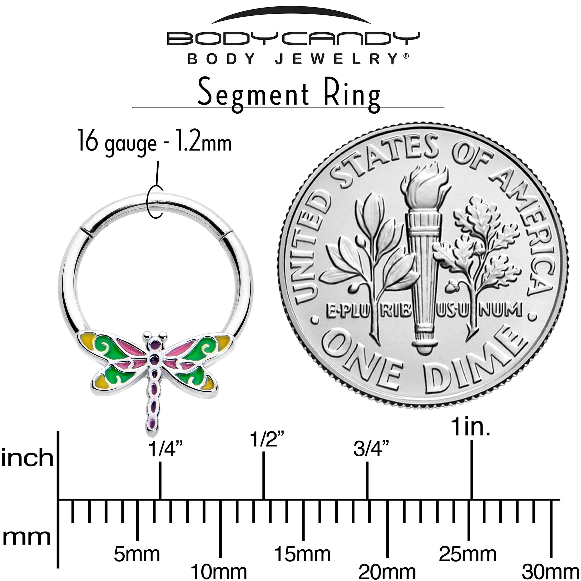 16 gauge dragonfly design hinged ring, 3/8 inch diameter
