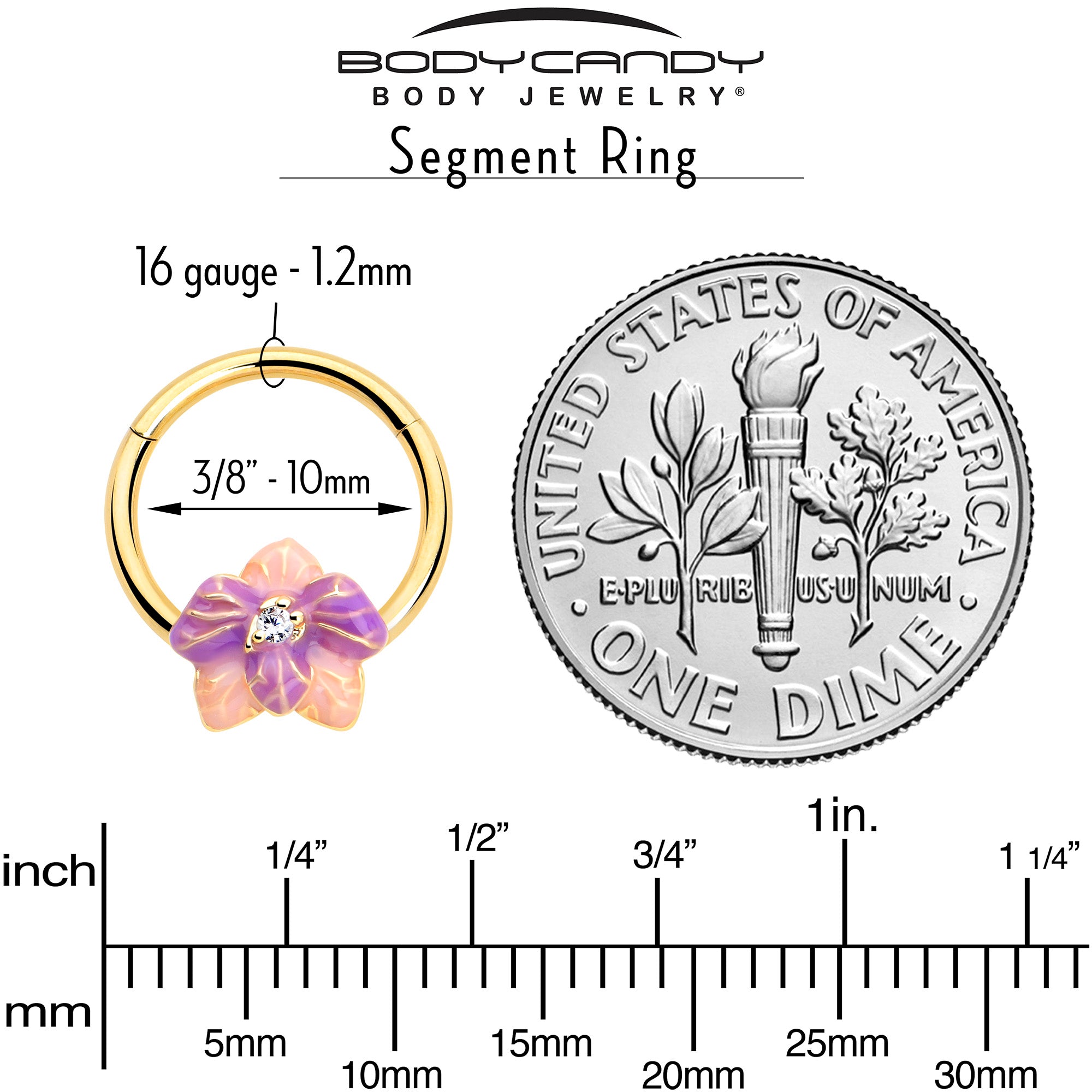 16 Gauge Hinged Segment Ring with Pastel Flower Design