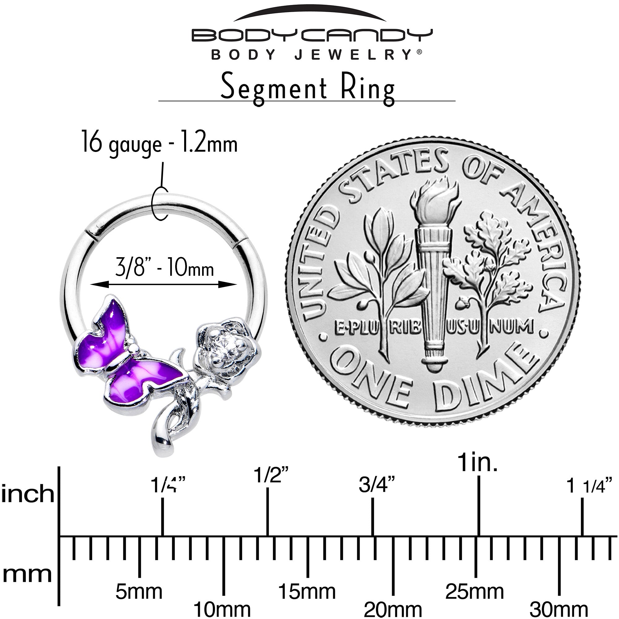 16G 3/8 Clear CZ Gem Butterfly Rose Purple Hinged Segment Ring