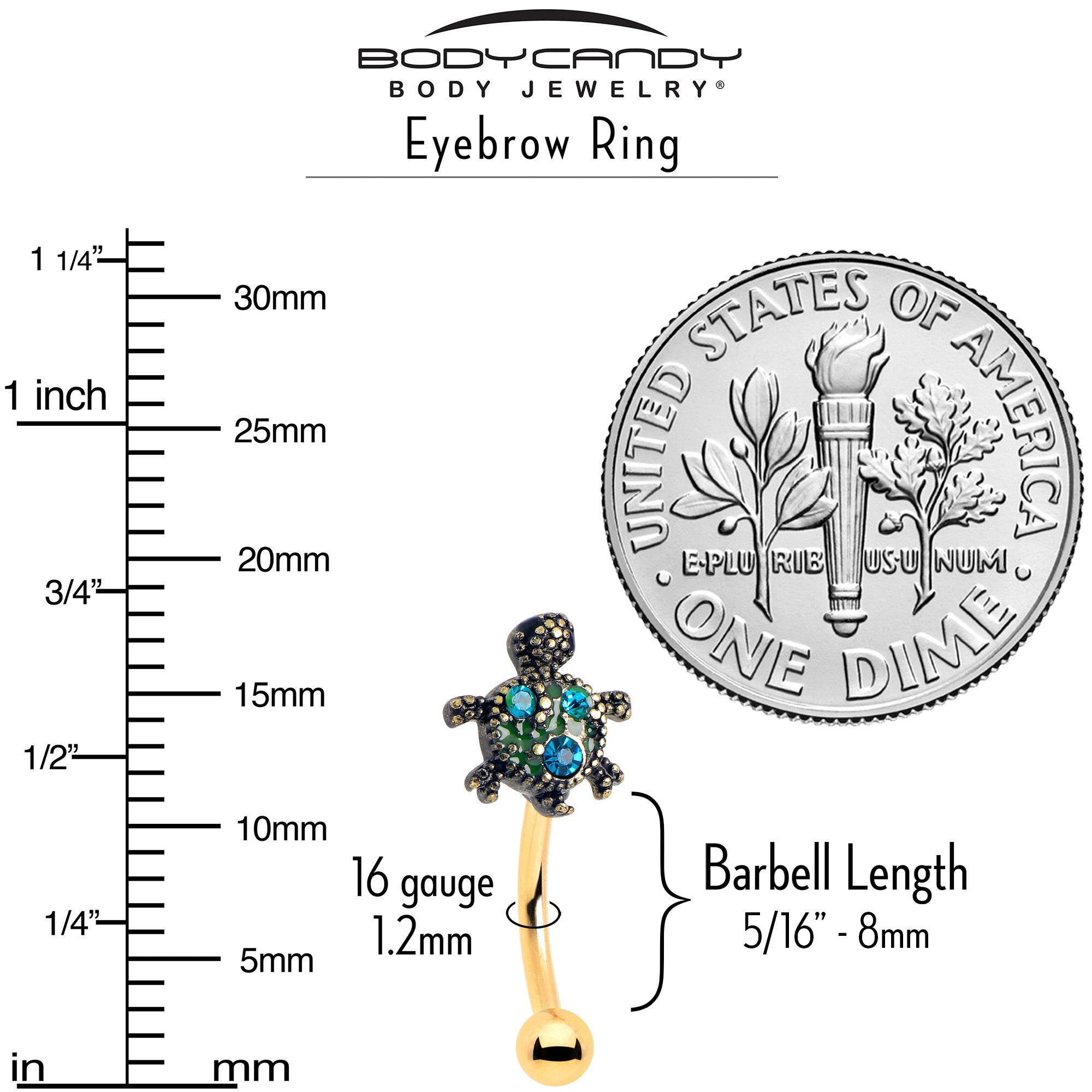 16G 5/16 Blue Gem Gold Tone Sweet Sea Turtle Curved Eyebrow Ring