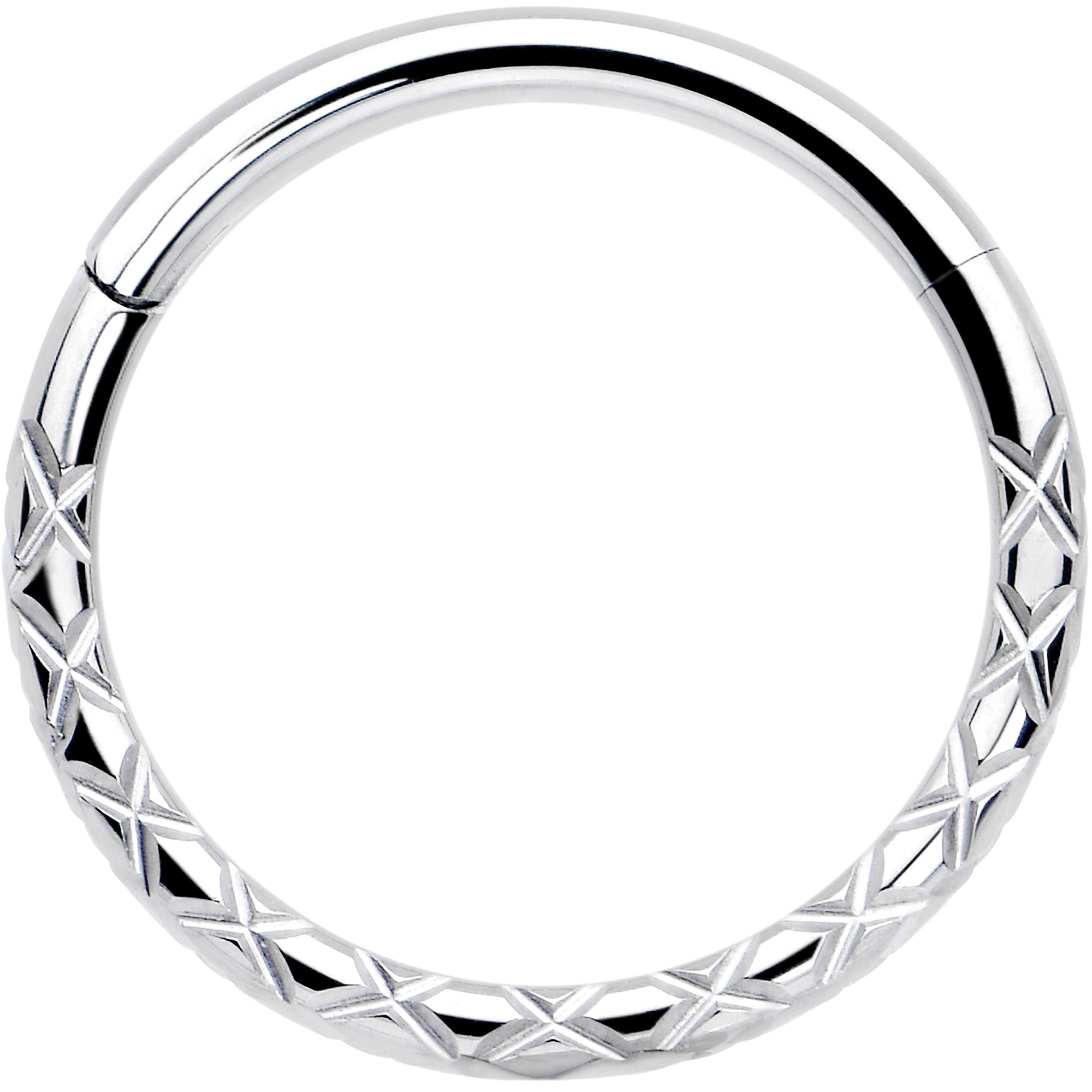 16 gauge 3/8 titanium snakeskin style hinged segment ring