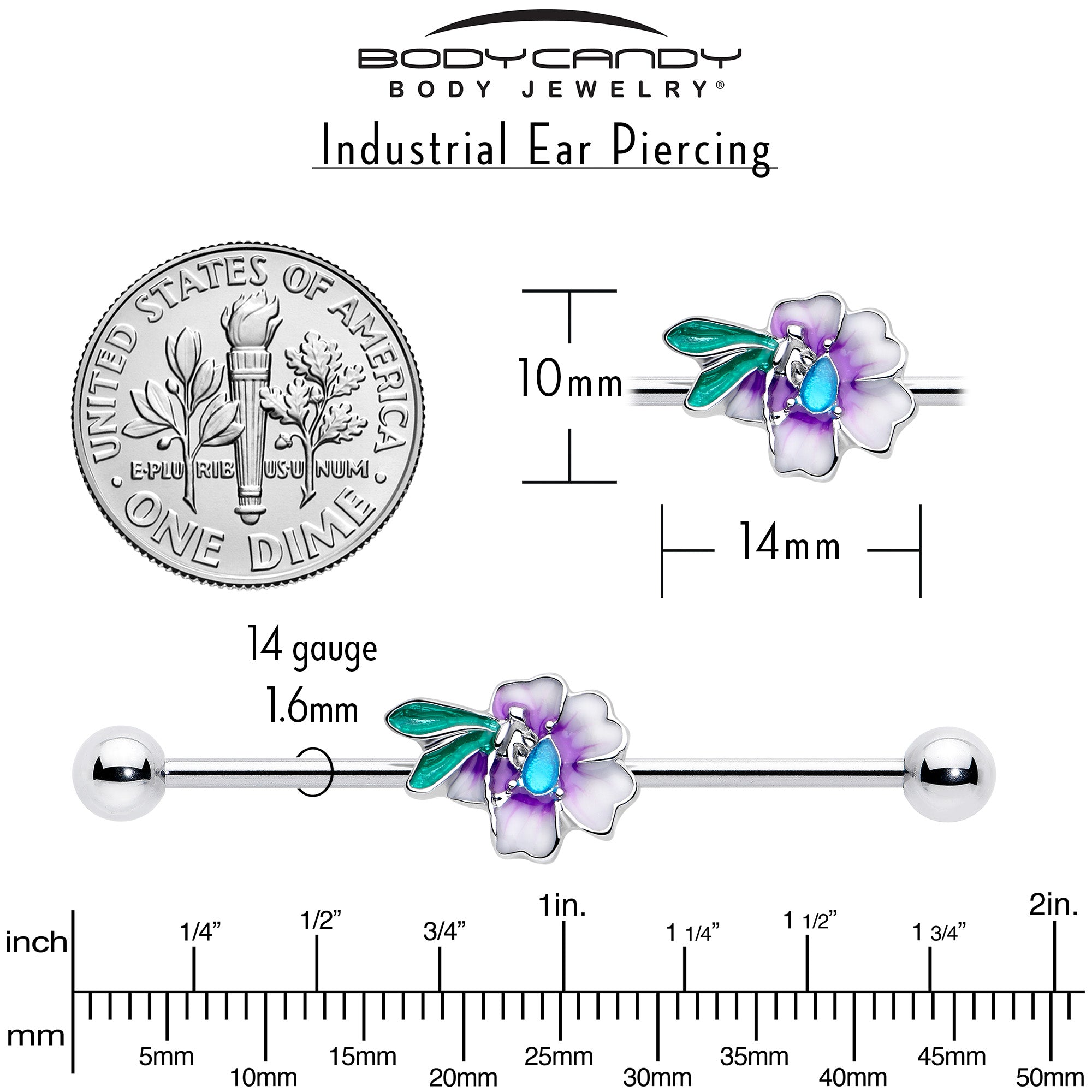 38mm purple and blue industrial barbell jewelry for ears