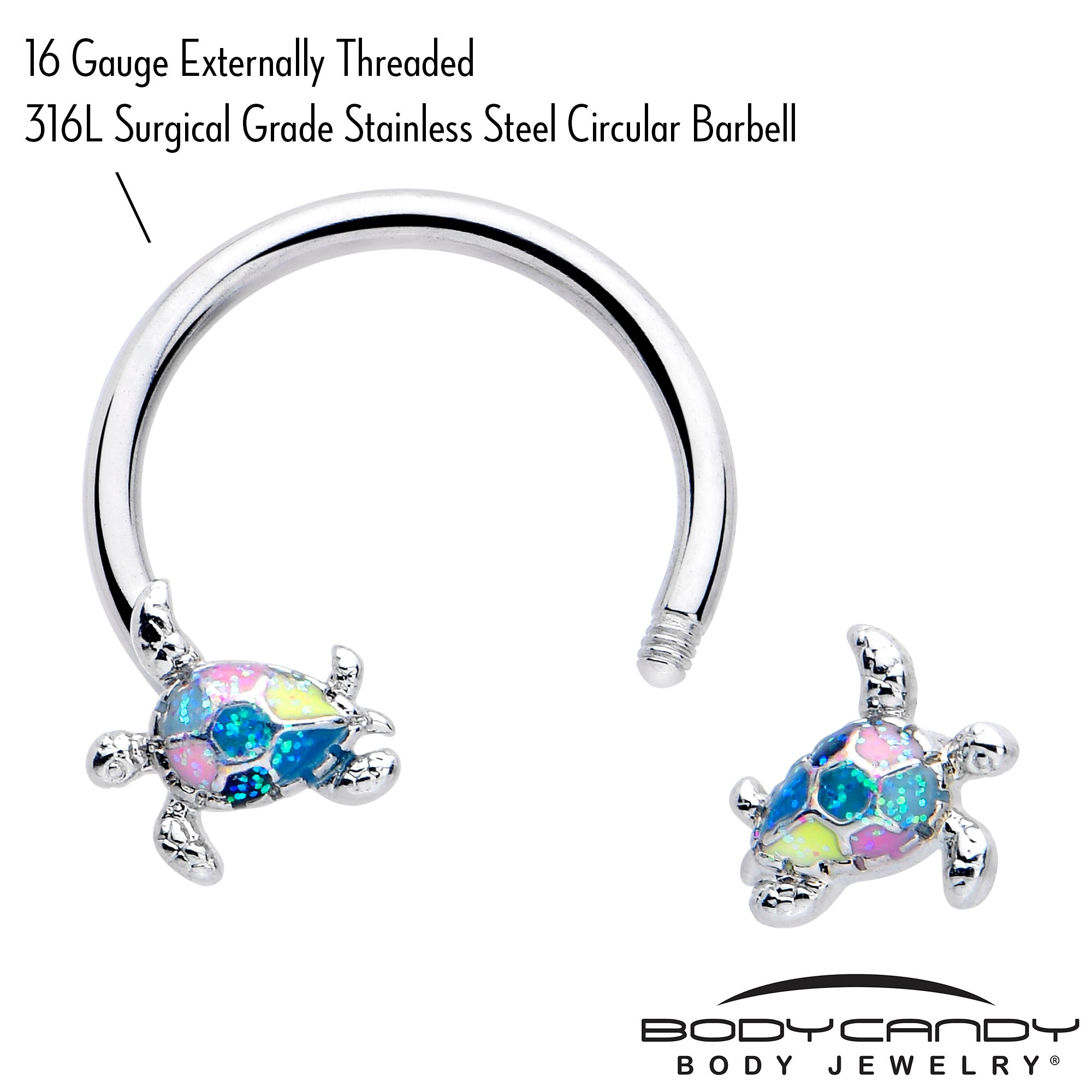 Colorful glitter turtle horseshoe circular barbell, 16 gauge