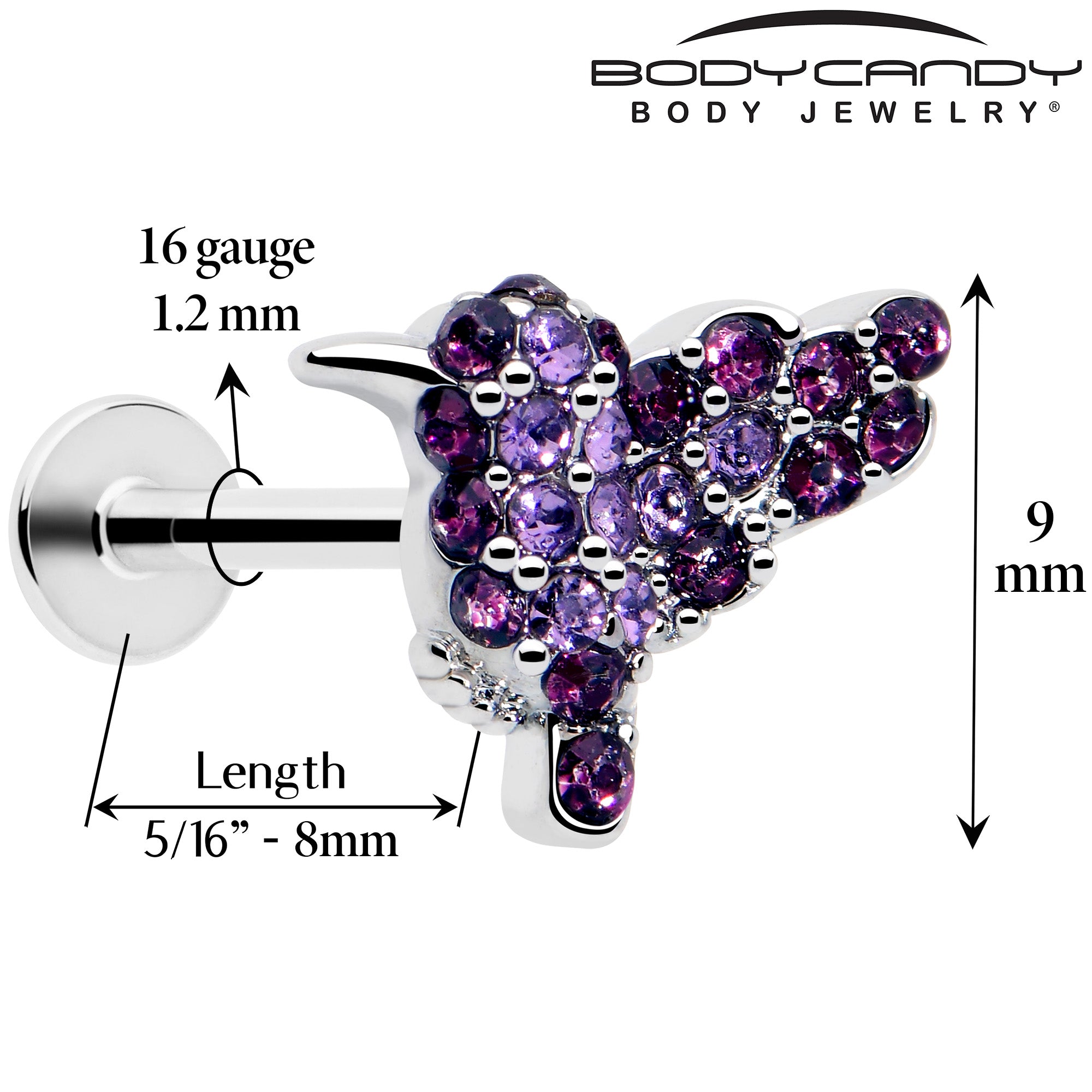 hummingbird labret monroe piercing purple gem
