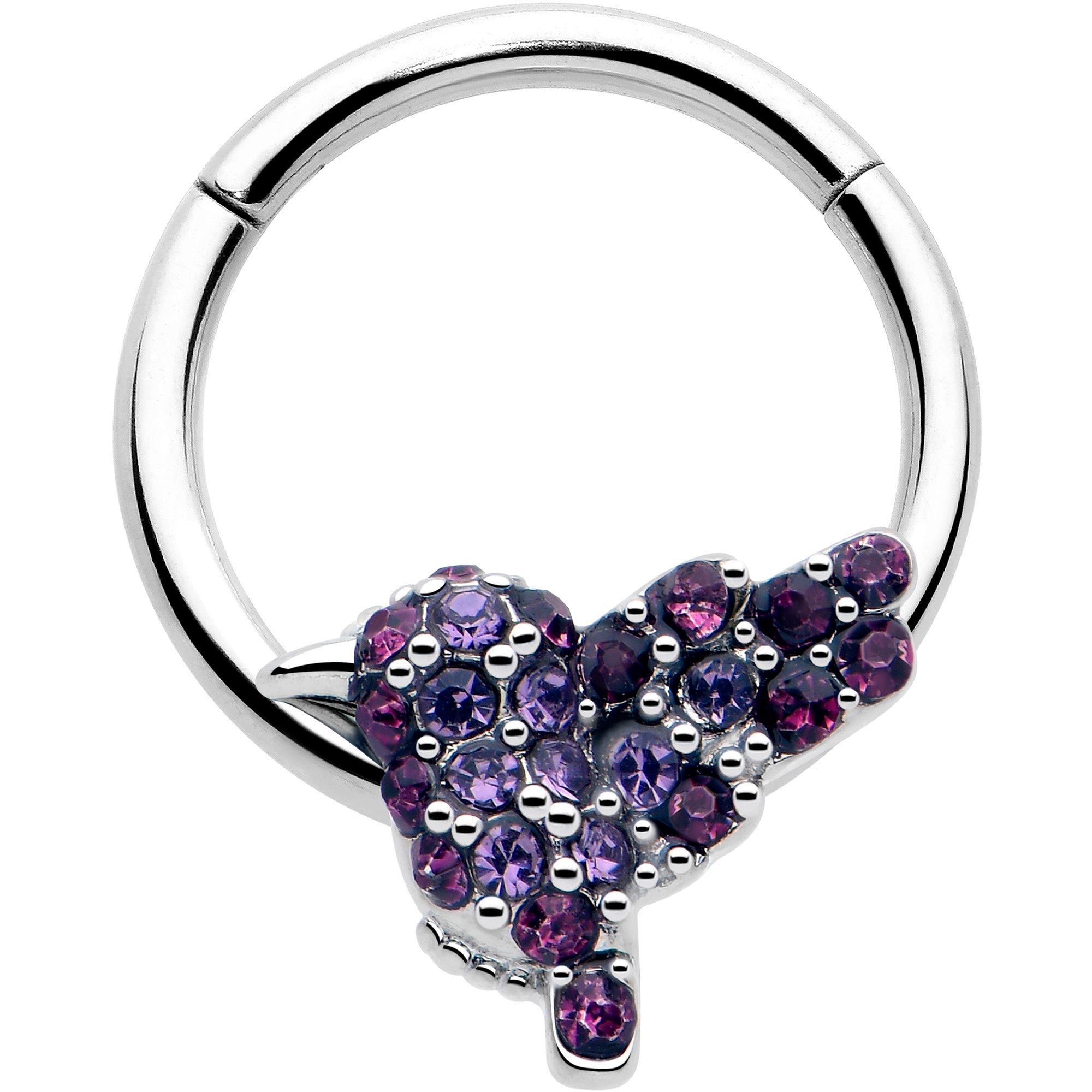 16g purple gem hummingbird hinged segment ring