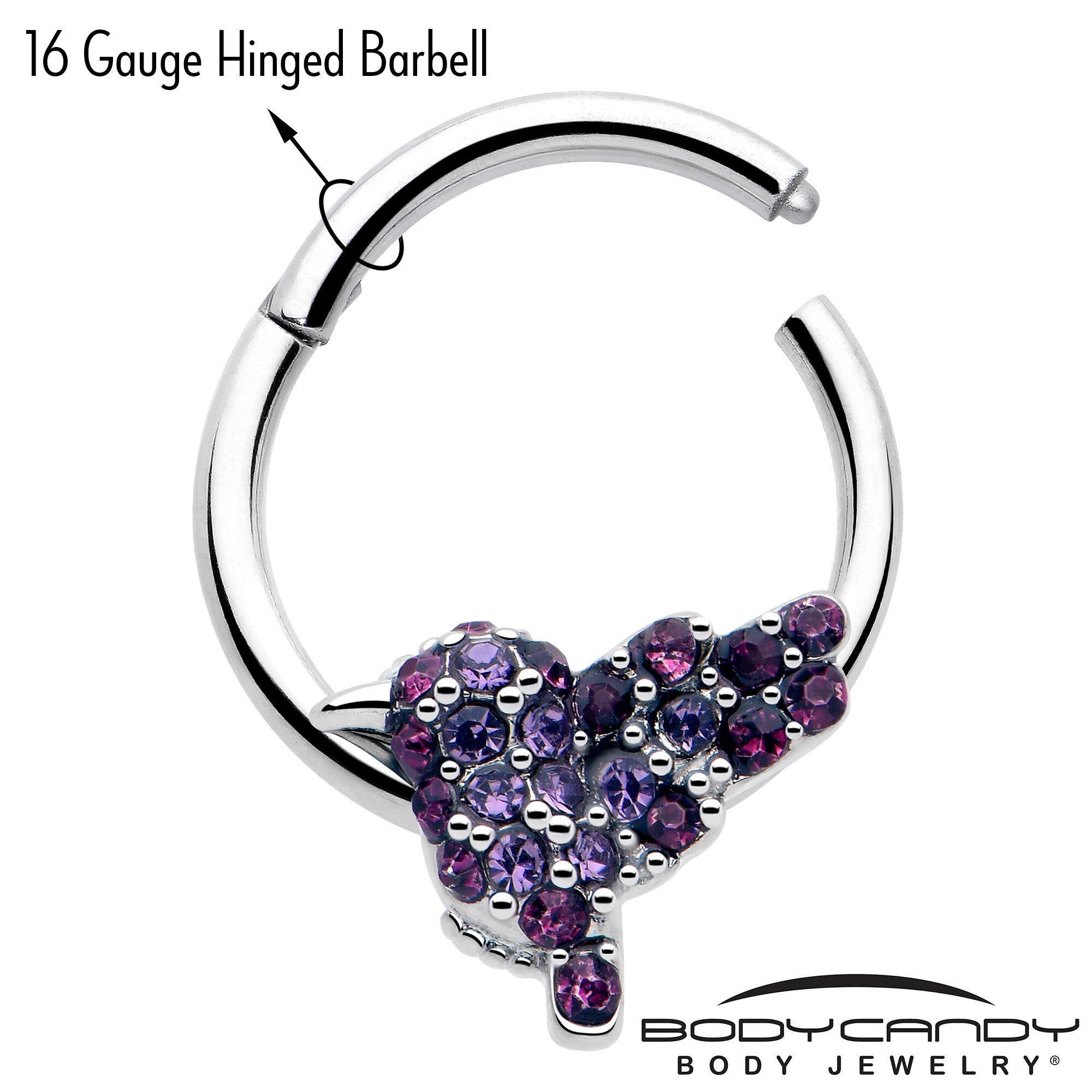16 gauge purple gem bird septum ring