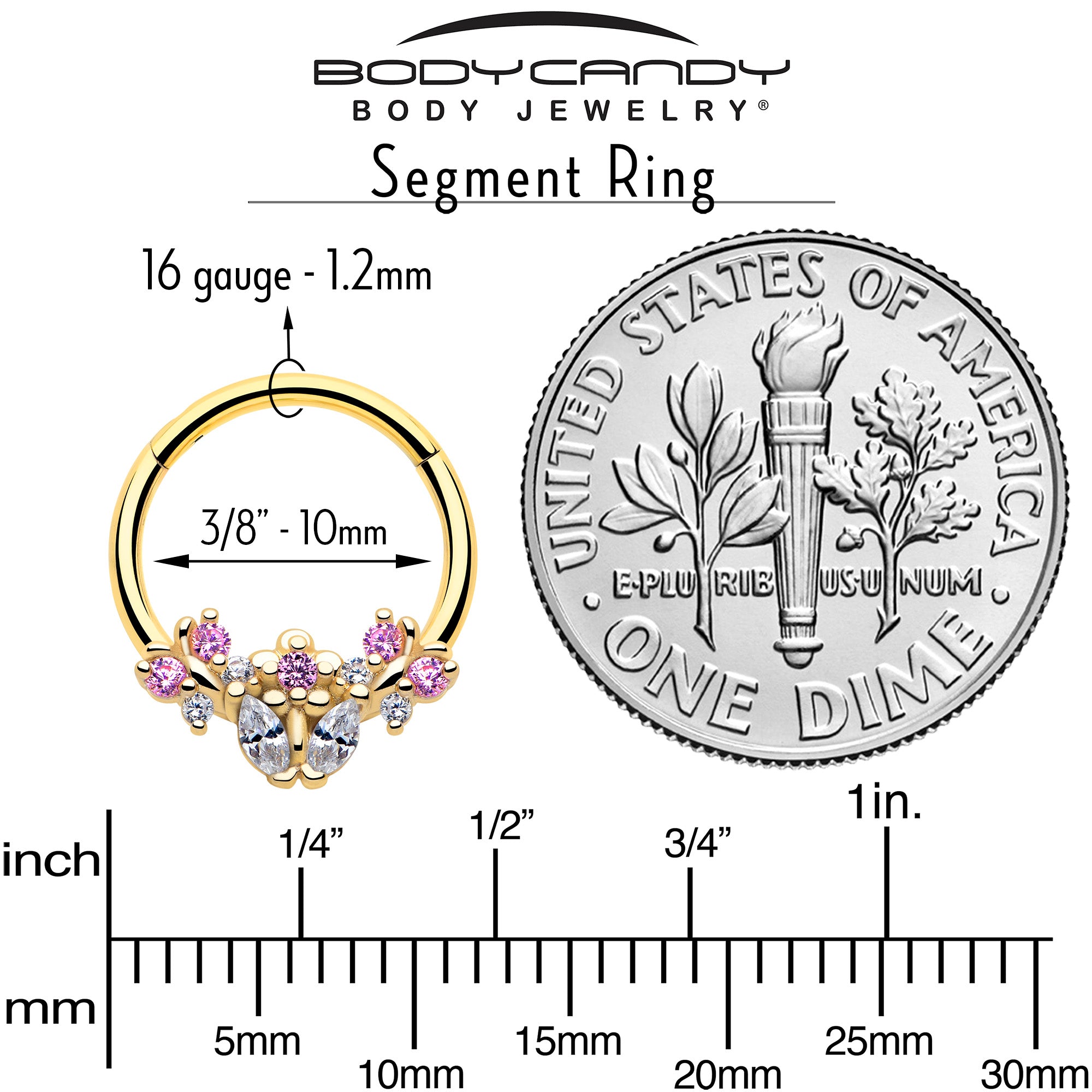 16 gauge floral hinged segment cartilage ring