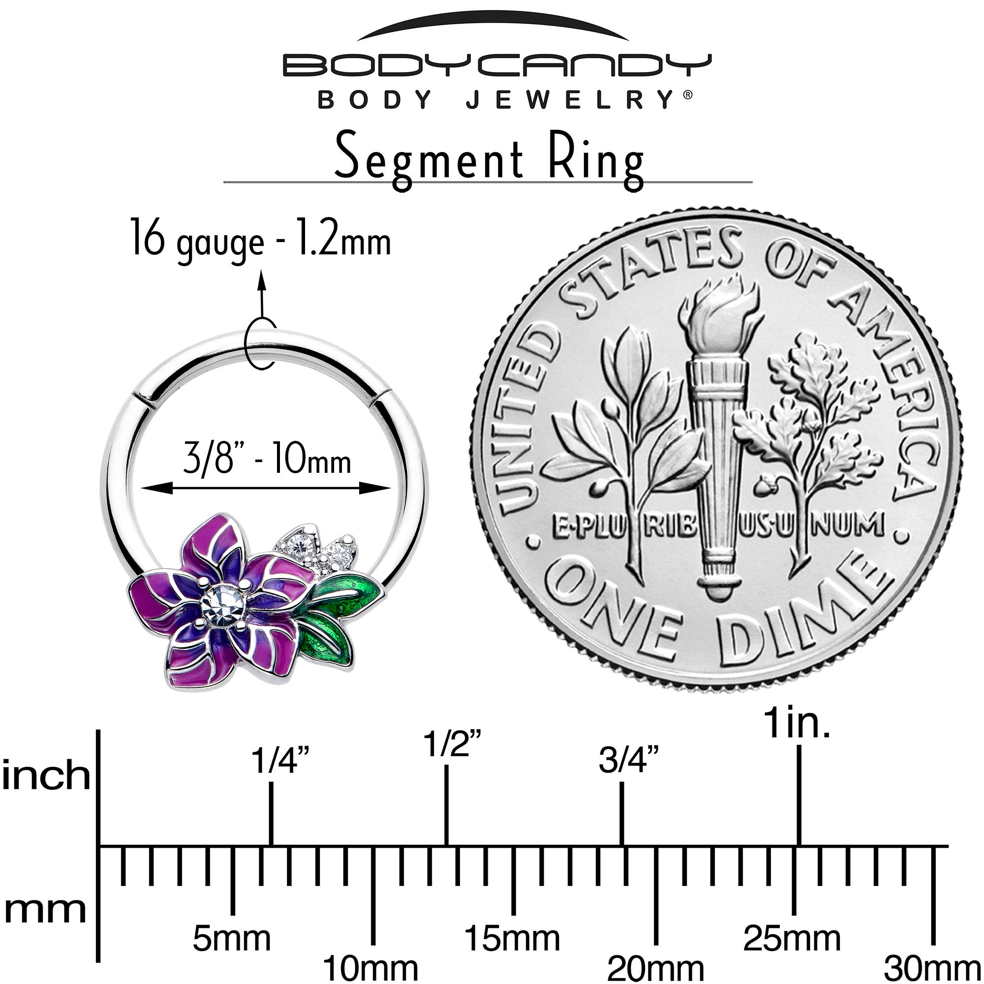 16 Gauge 3/8 Clear CZ Flower Design Hinged Segment Ring