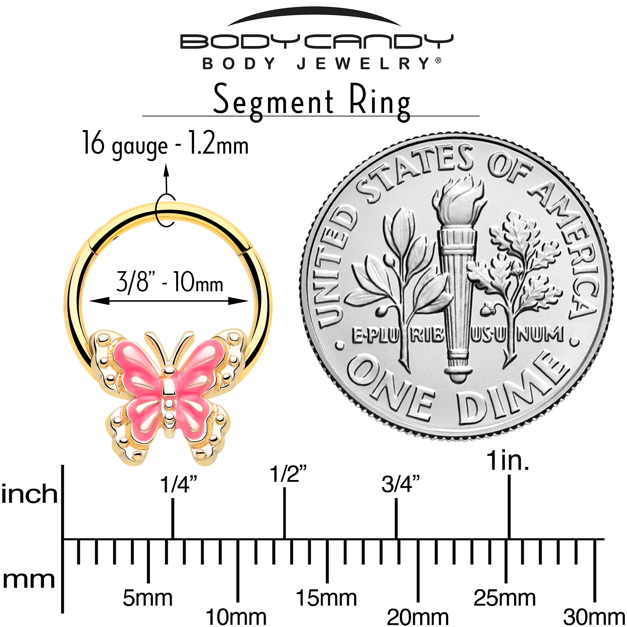 Pink butterfly gold segment hoop for septum or daith piercing