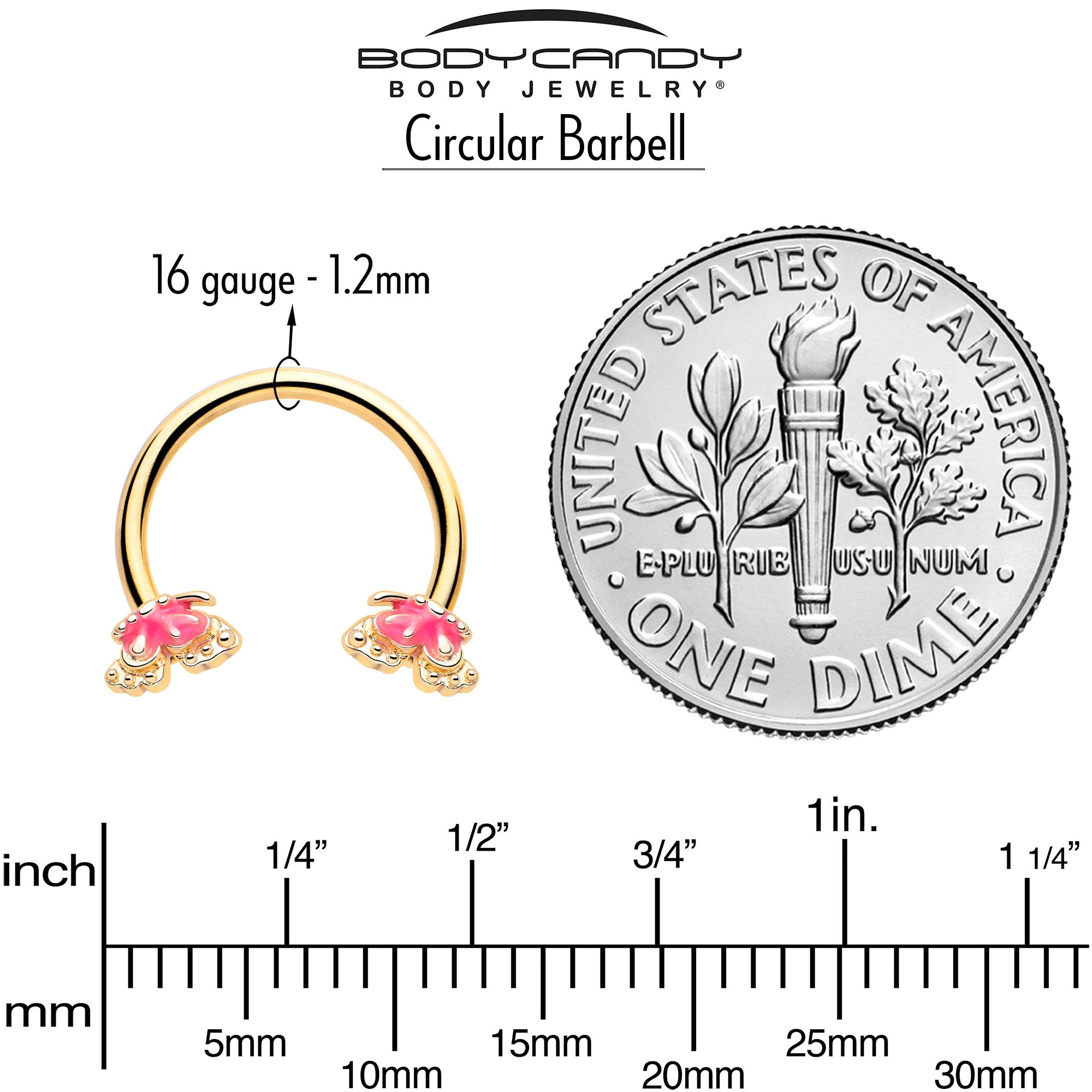 16 Gauge Horseshoe Circular Barbell Gold Tone Butterfly Pink Splash