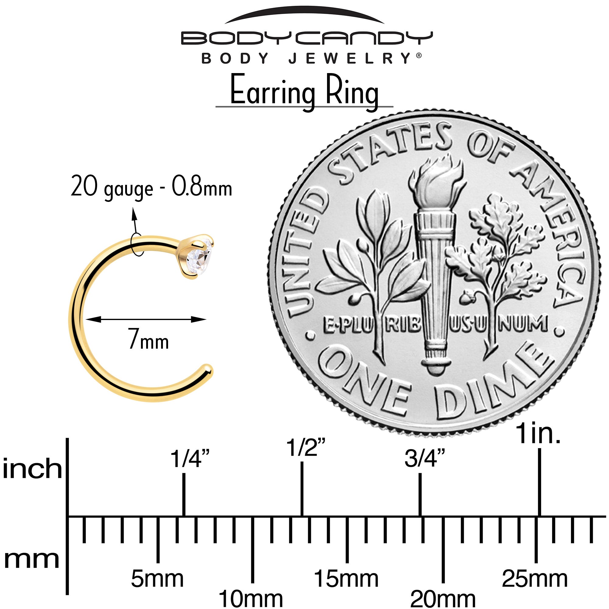 Gold Tone 20 Gauge Clear Gem Titanium Hoop Earrings