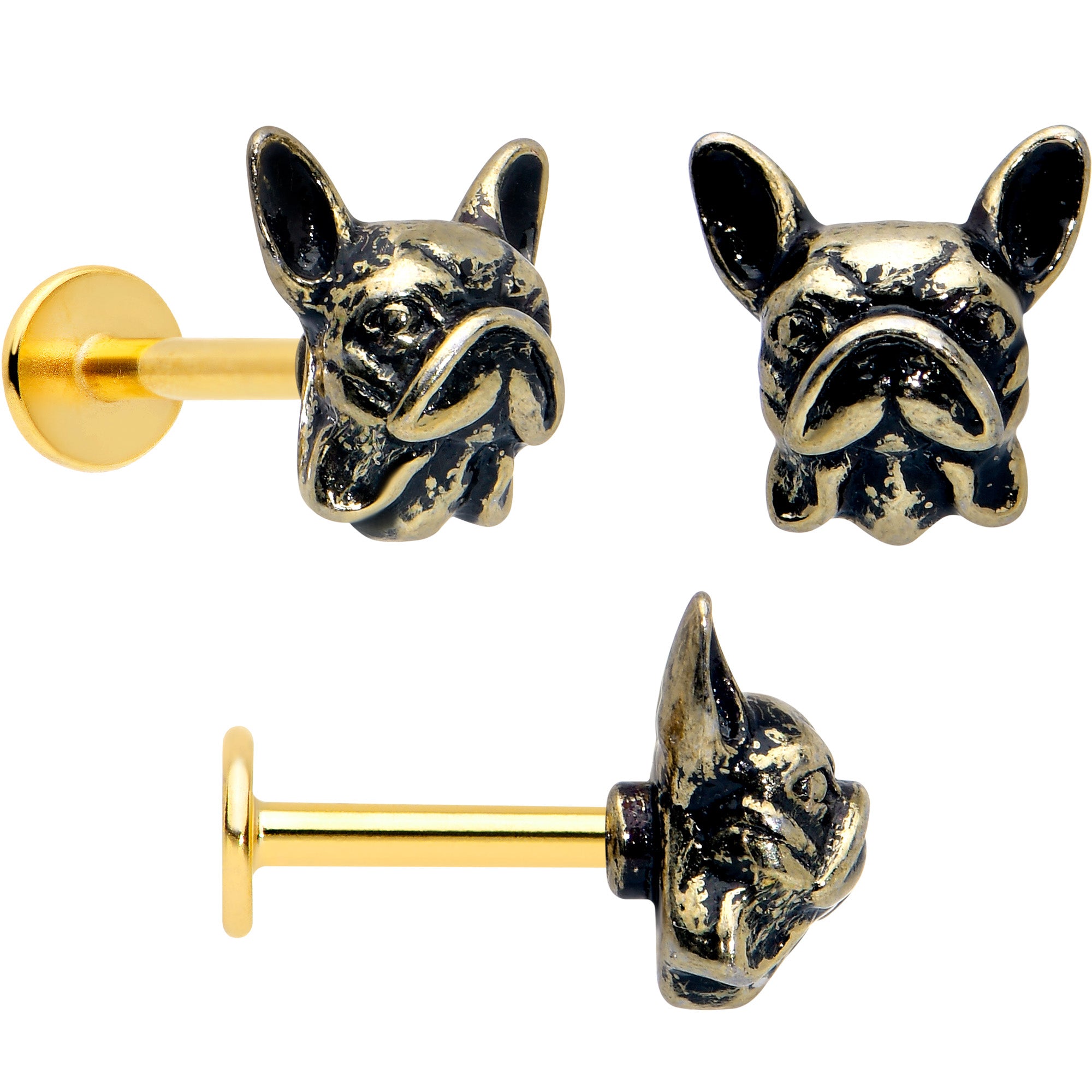 Gold Tone Anodized French Bulldog Labret Tragus Set 16 Gauge 5/16