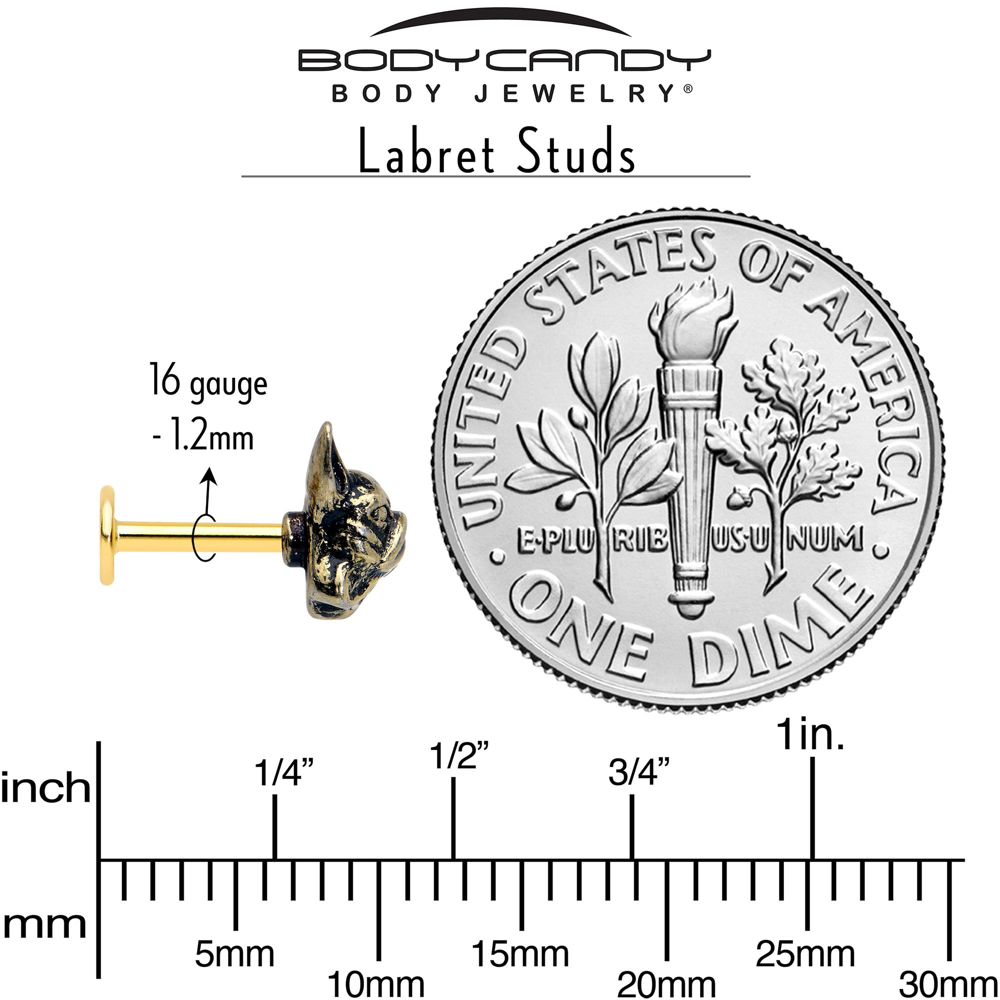 Gold Tone French Bulldog Labret Tragus Set of 3 16 Gauge 5/16