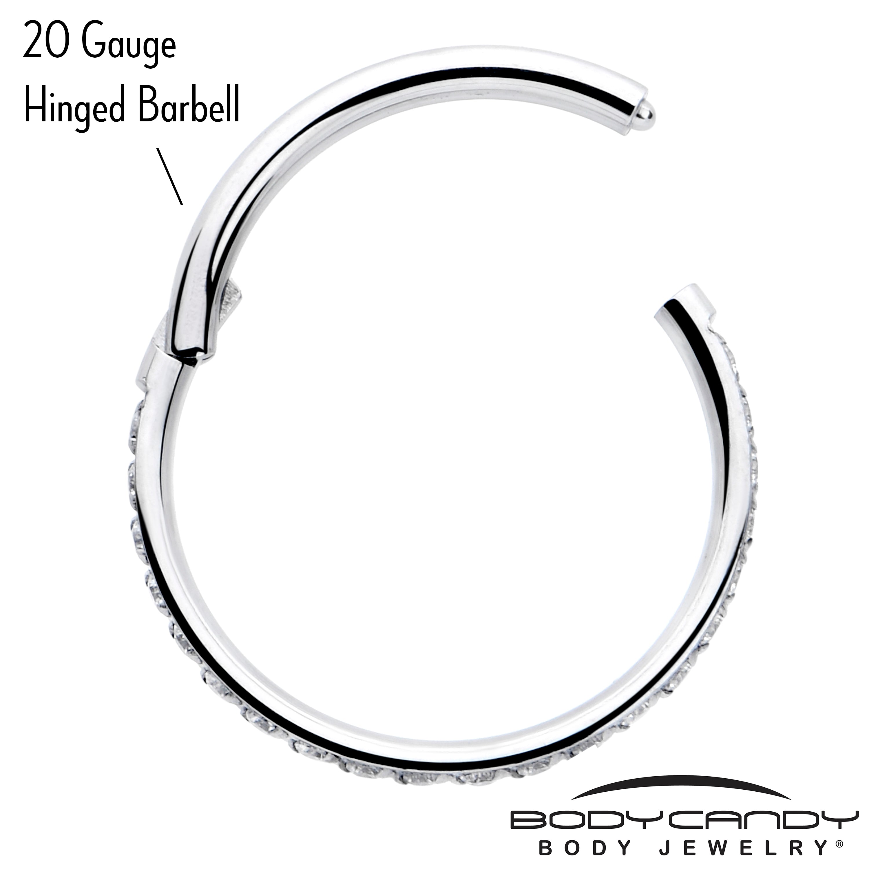 20G 5/16 Clear Cubic Zirconia Forward Facing Hinged Segment Ring