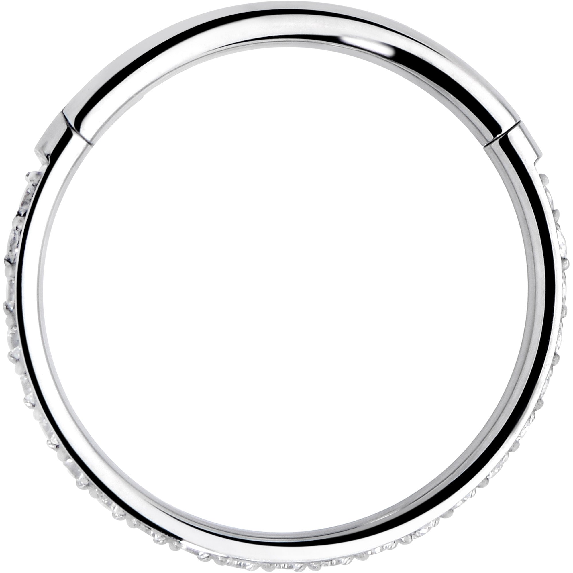 18 Gauge 3/8 Clear CZ Gem Titanium Hinged Segment Ring