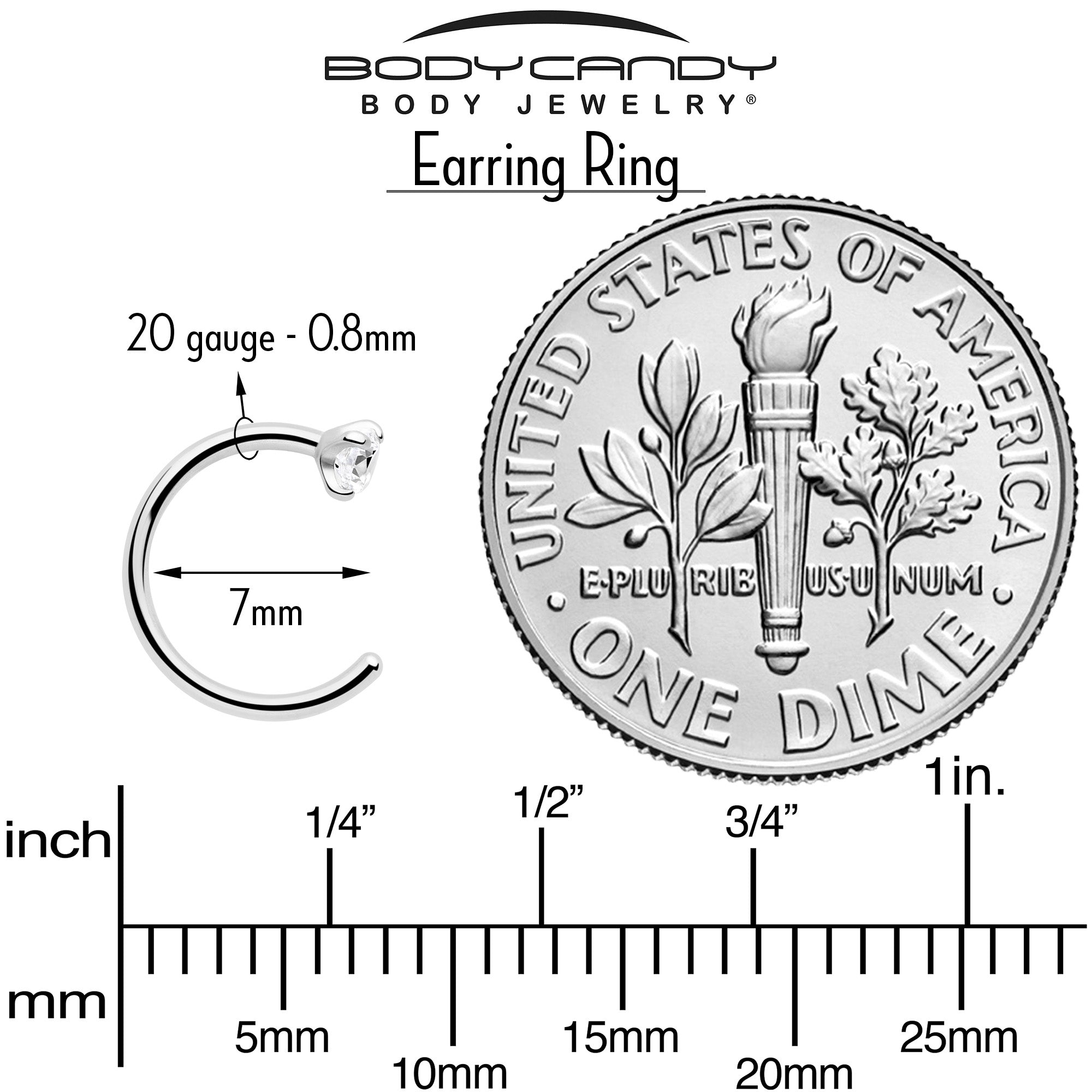 Implant Grade Titanium Hoop Earrings 20 Gauge