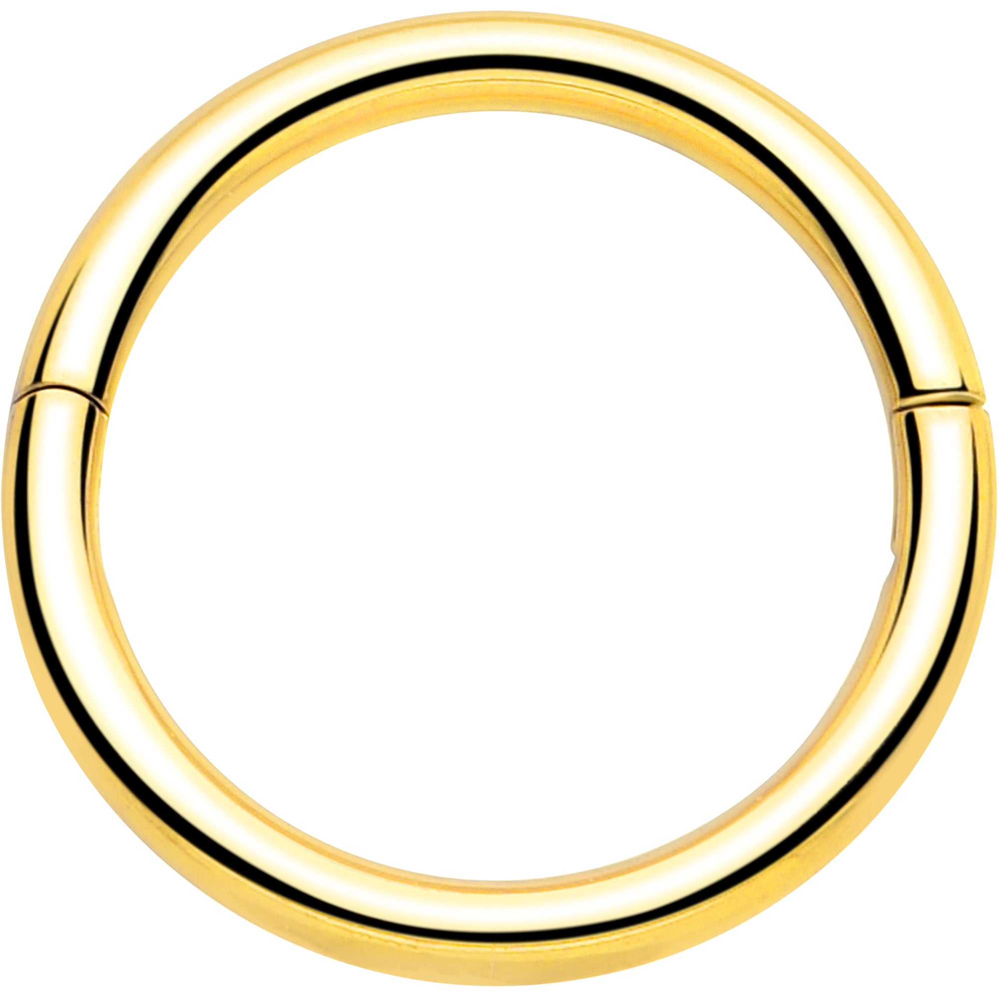 20G Implant Grade Titanium Half Closure Hinged Segment Ring