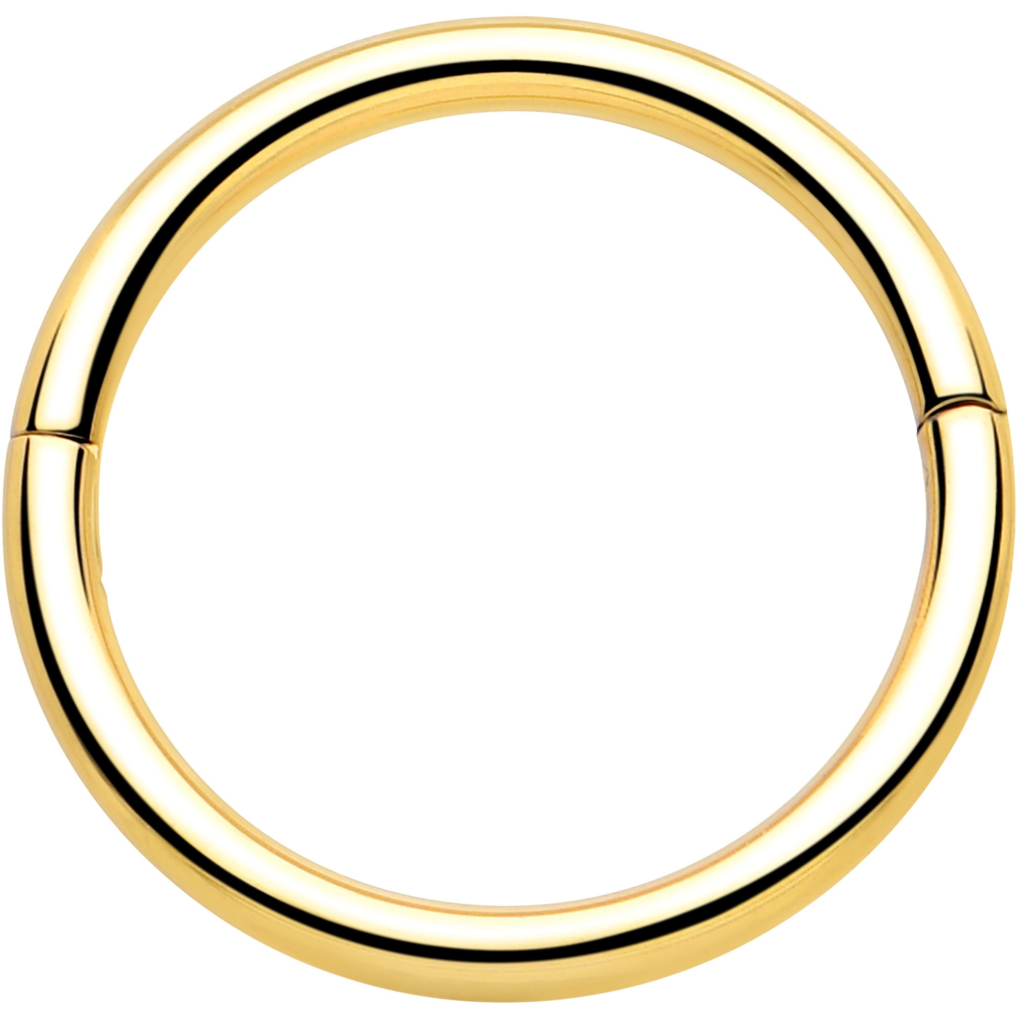 20G Implant Grade Titanium Half Closure Hinged Segment Ring