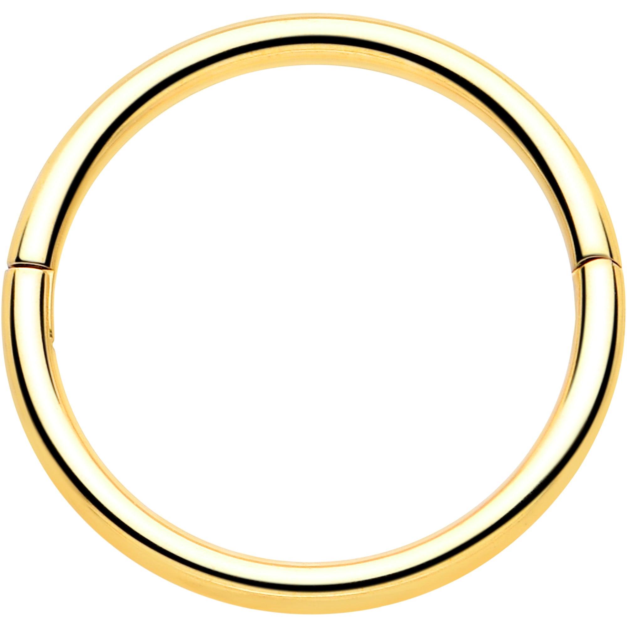 20G Implant Grade Titanium Half Closure Hinged Segment Ring