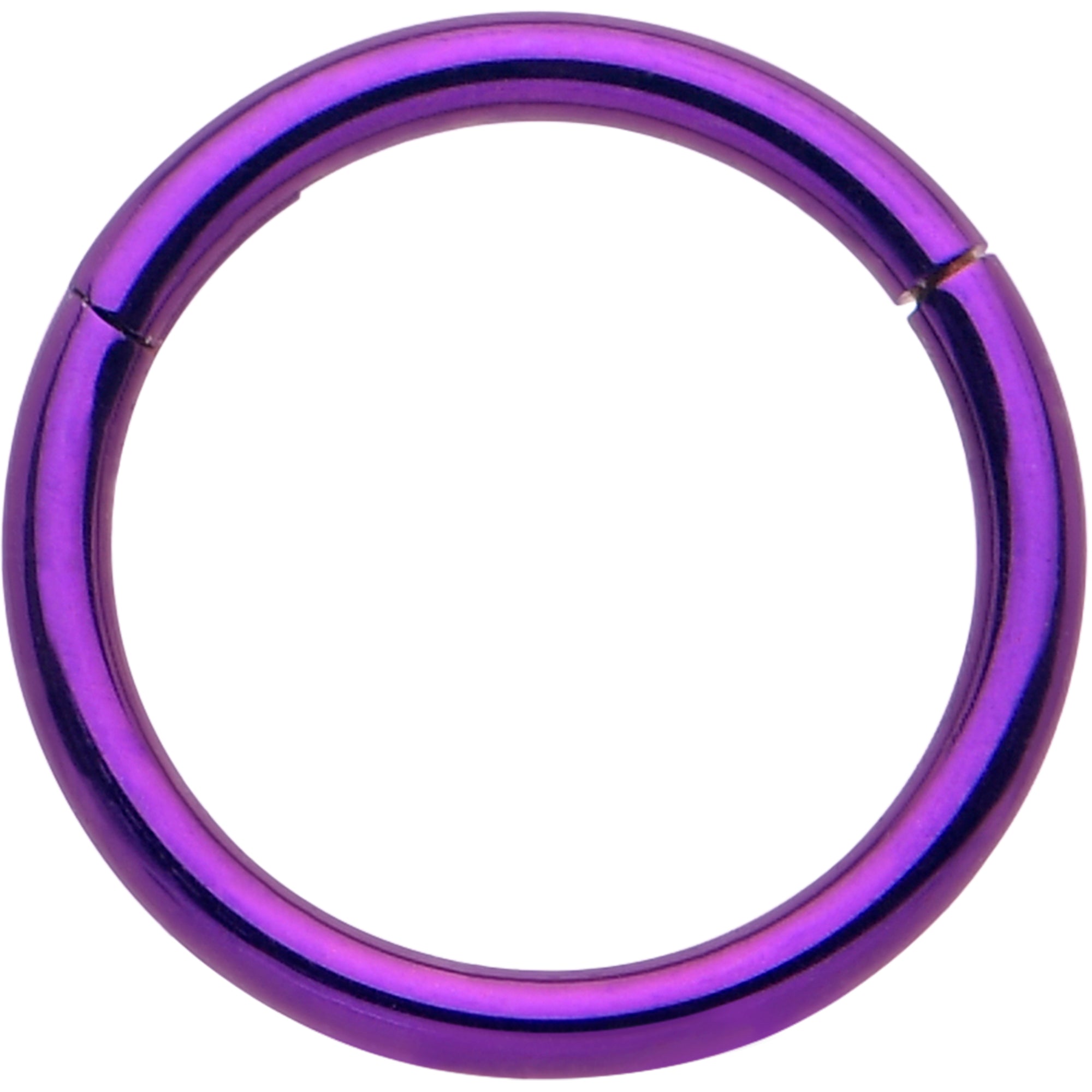 20G Purple Implant Grade Titanium Hinged Nose Hoop