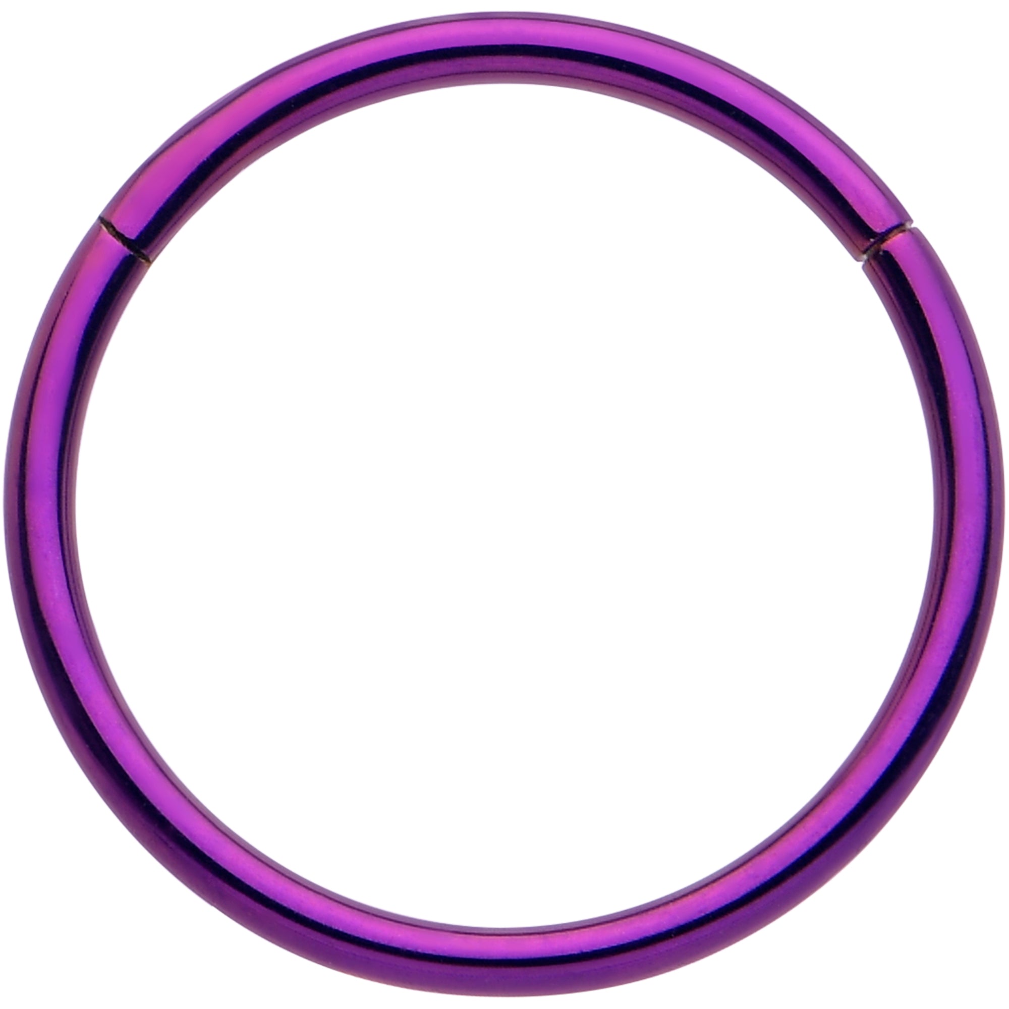 20G Purple Implant Grade Titanium Hinged Nose Hoop