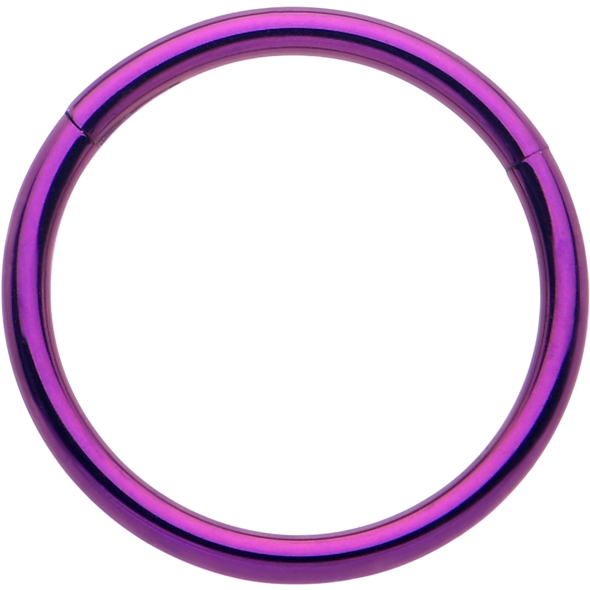 20G purple titanium hinged nose hoop