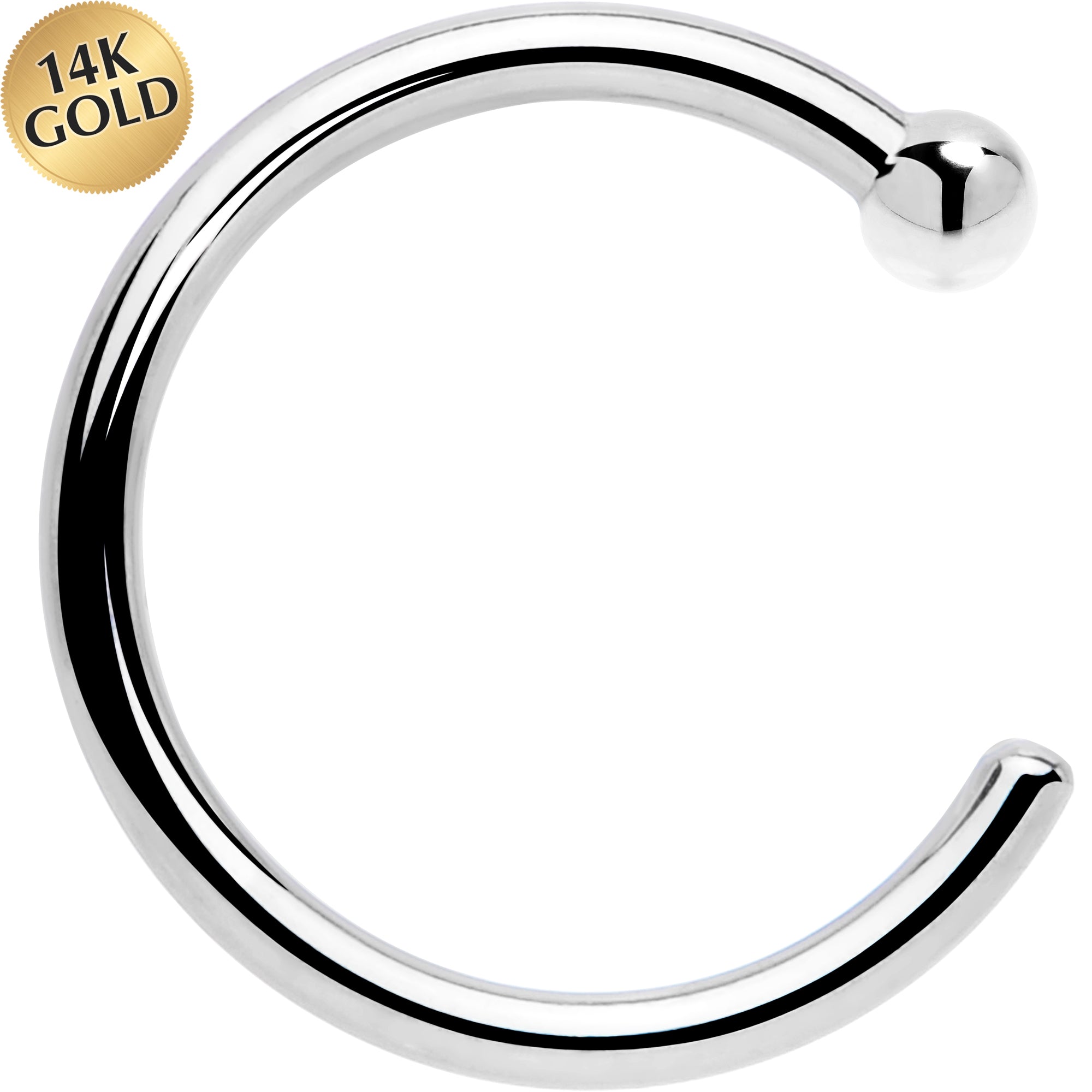 20G 1/4 14k Solid White Gold Nose Hoop