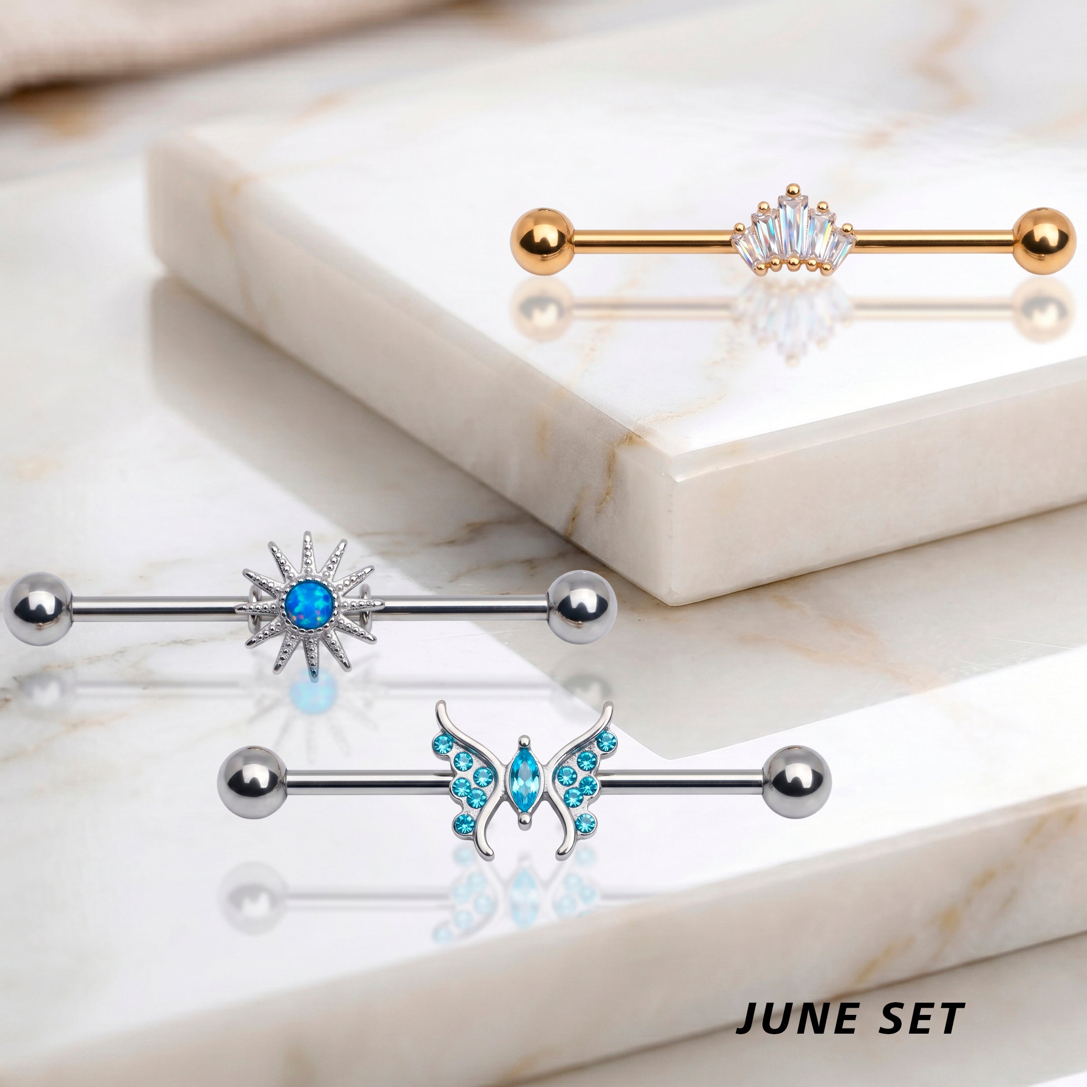 Industrial Piercing Monthly Club