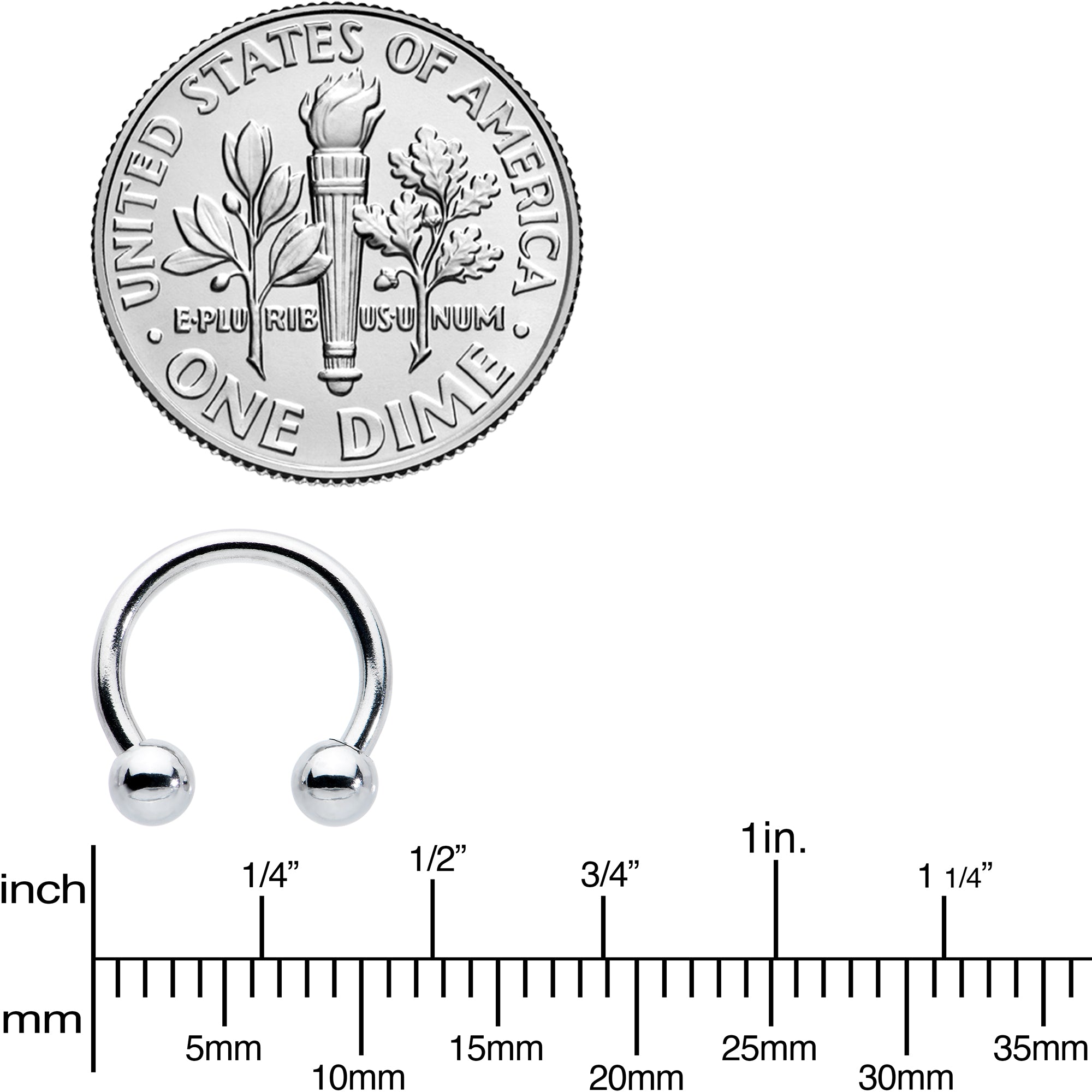 16G 5/16 Stainless Steel Horseshoe Circular Barbell