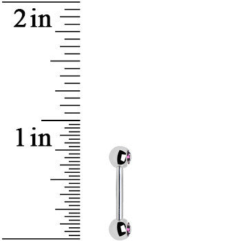 Purple Gem Double Front Facing Steel Nipple Barbell Set