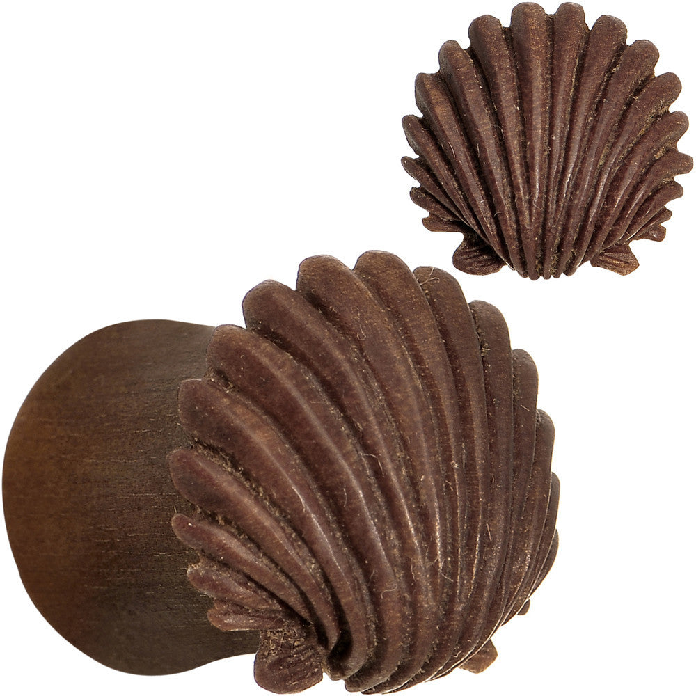 00G Organic Sabo Wood Ariel's Shell Hand Carved Plug Set