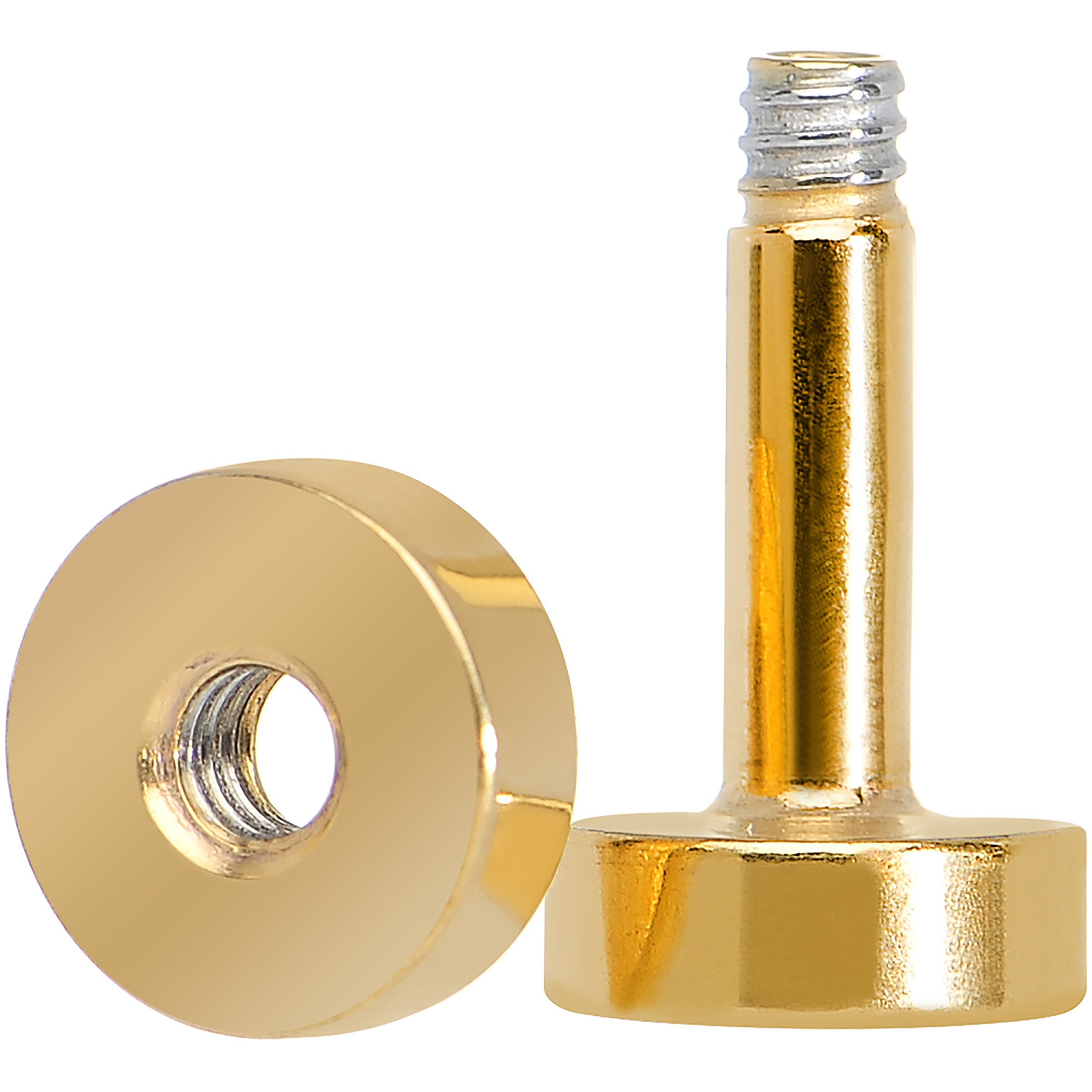 10G PVD Gold Titanium Screw Fit Tunnel