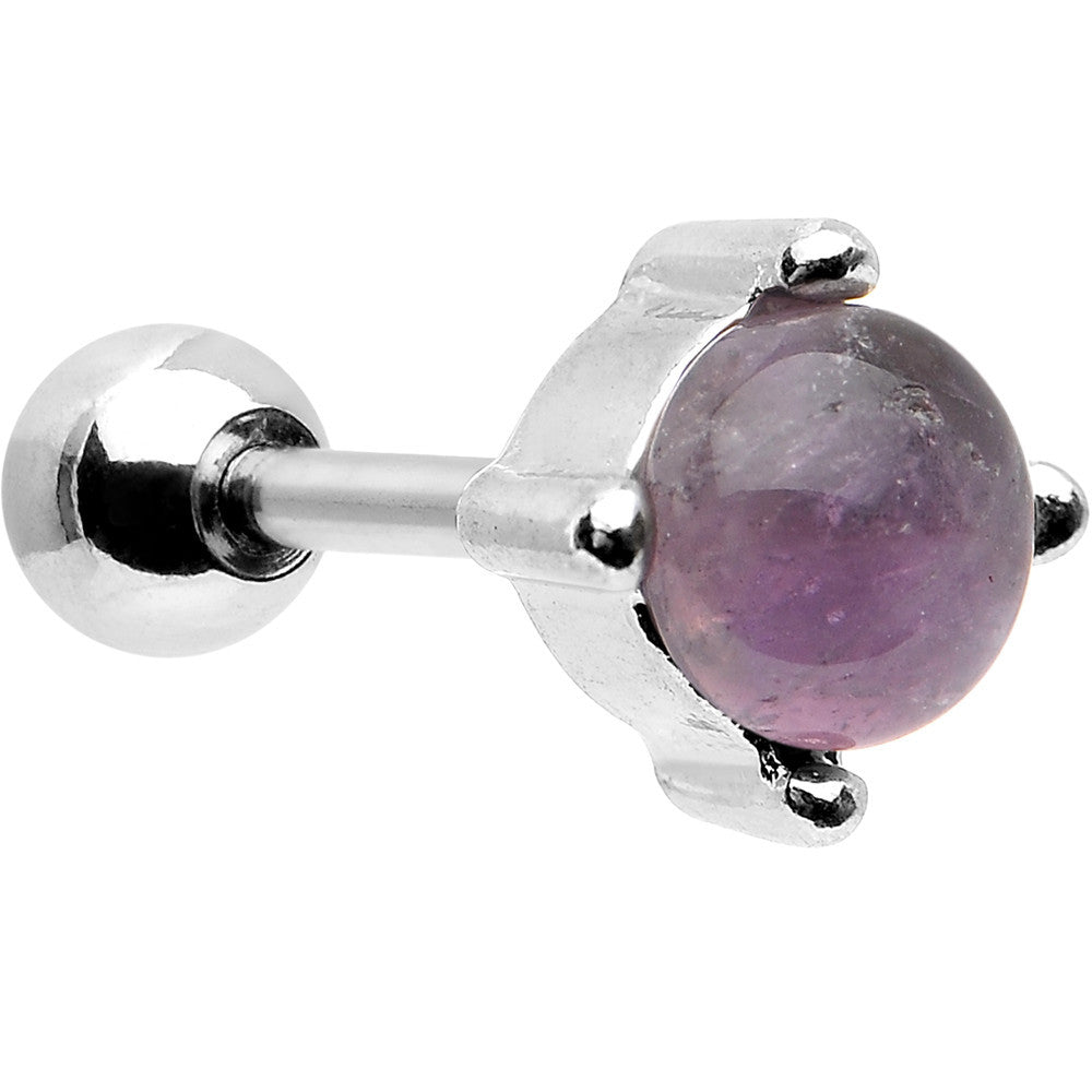 16G Pretty Purple Stone Stainless Steel Cartilage Earring