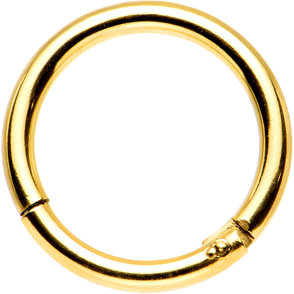 16G 5/16 Gold Anodized Titanium Hinged Segment Ring