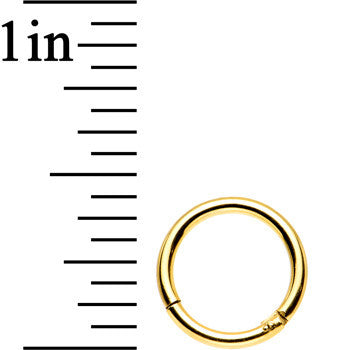 16G 5/16 Gold Anodized Titanium Hinged Segment Ring