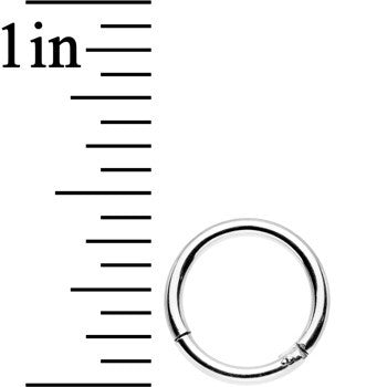 16G 5/16 Stainless Steel Hinged Segment Ring